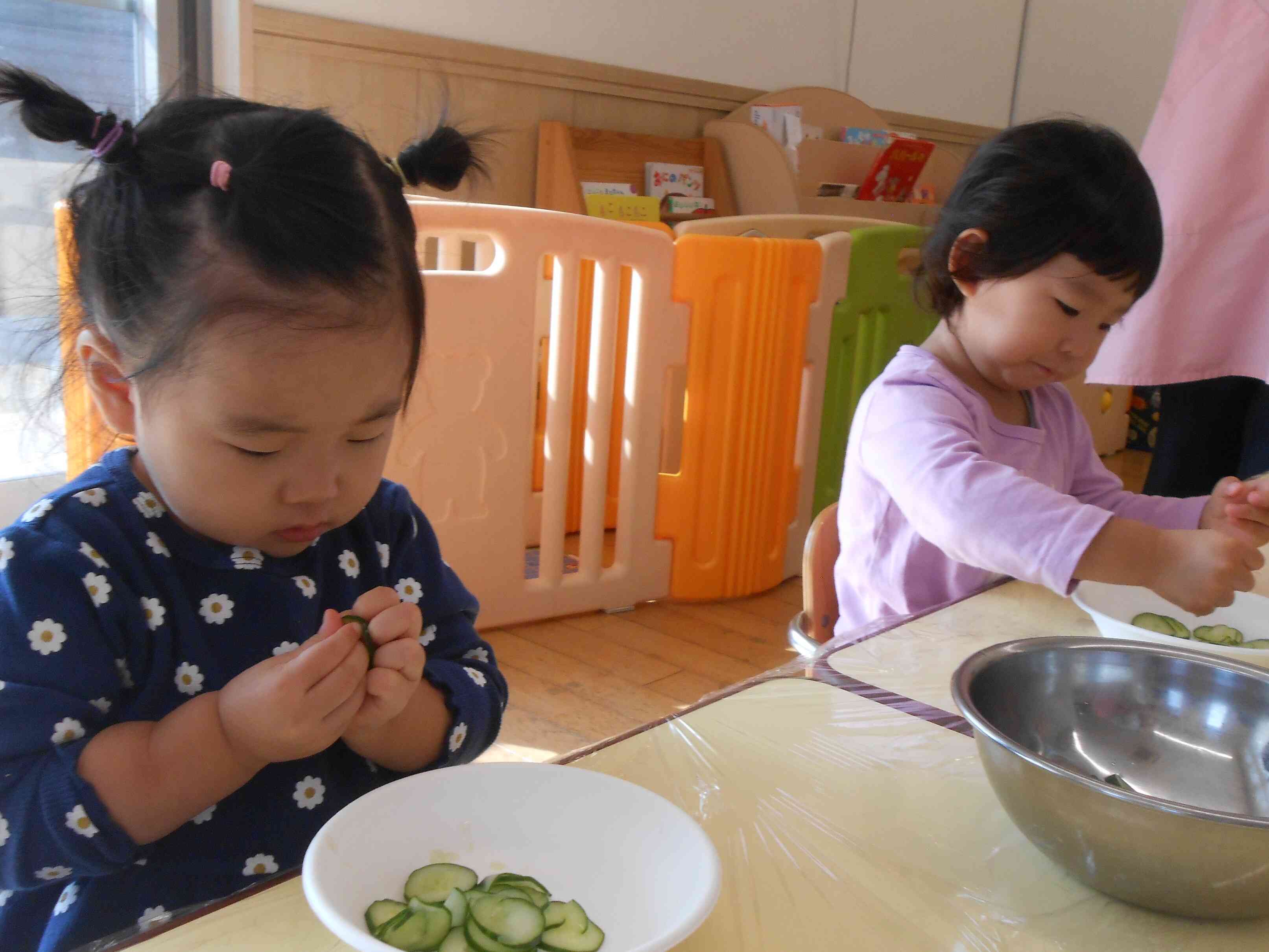 きゅうりの観察中です★