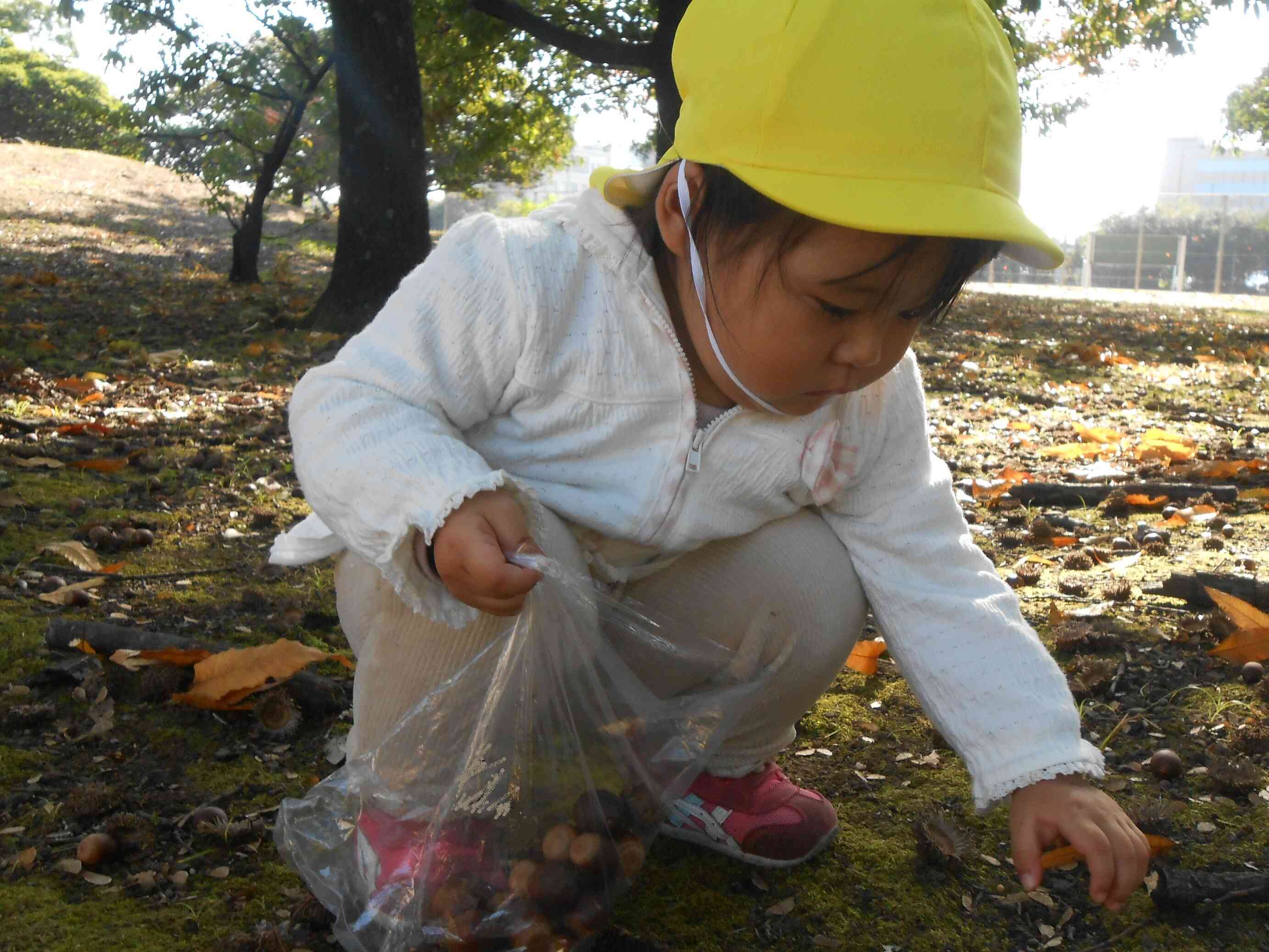 たくさん拾ったね。持てるかな？