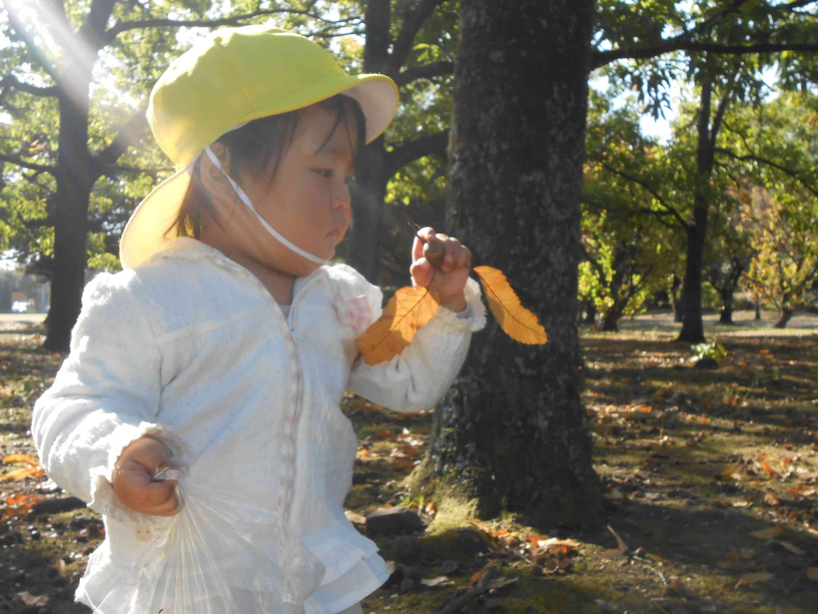ドングリみーつけた！
