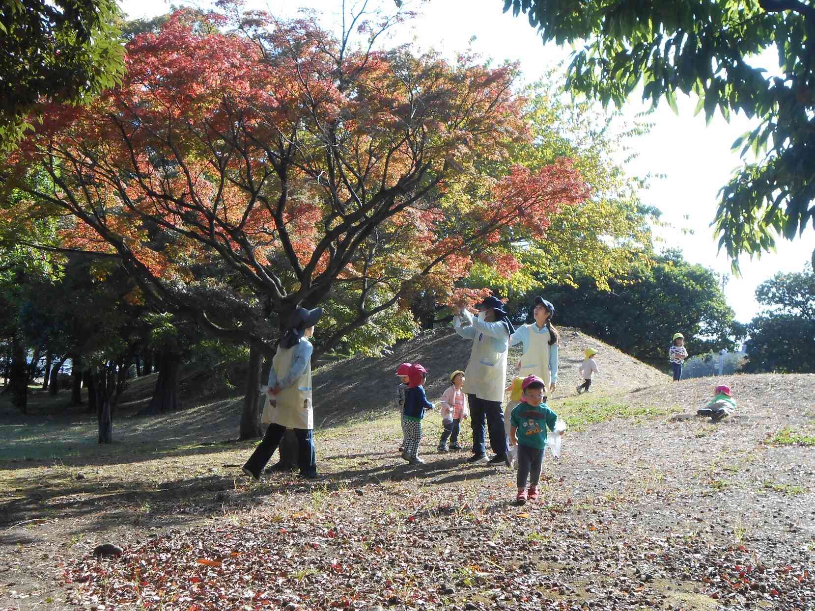 うさぎぐみ（1歳児）戸外遊び