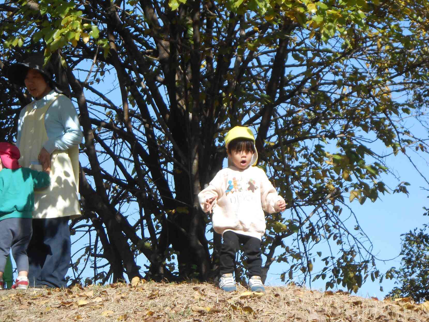 築山に上がって声を出して、くまぐみさんの真似してます