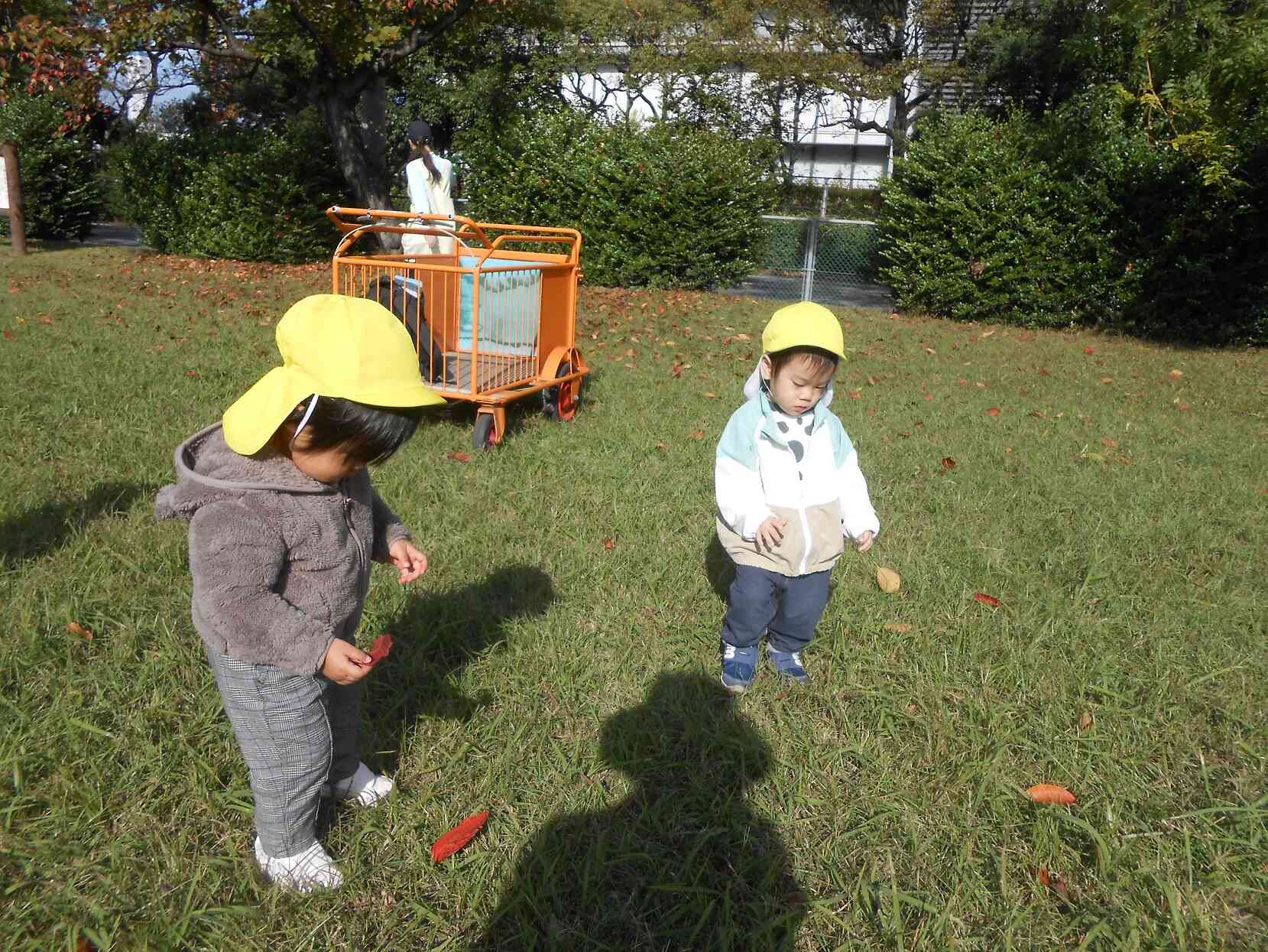 他の公園でも赤い葉っぱを見つけてます