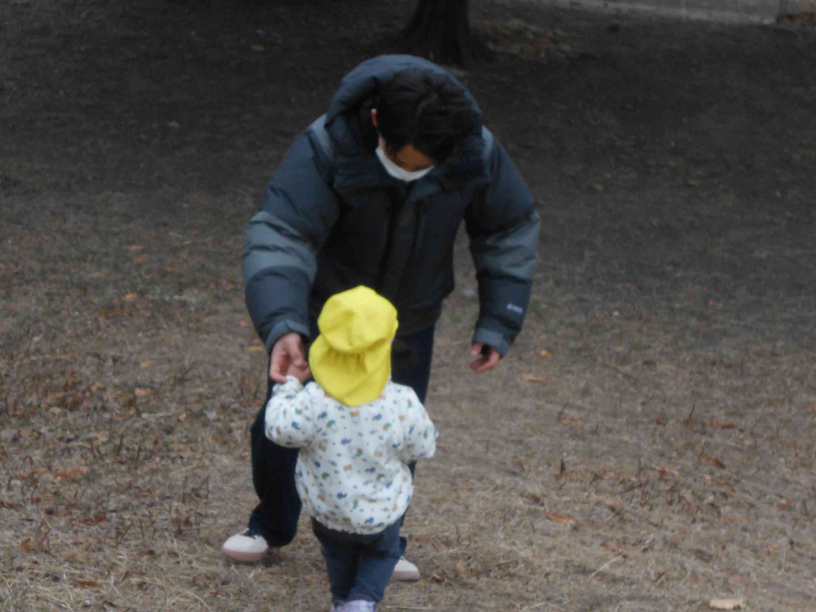 パパと一緒に下りたり…