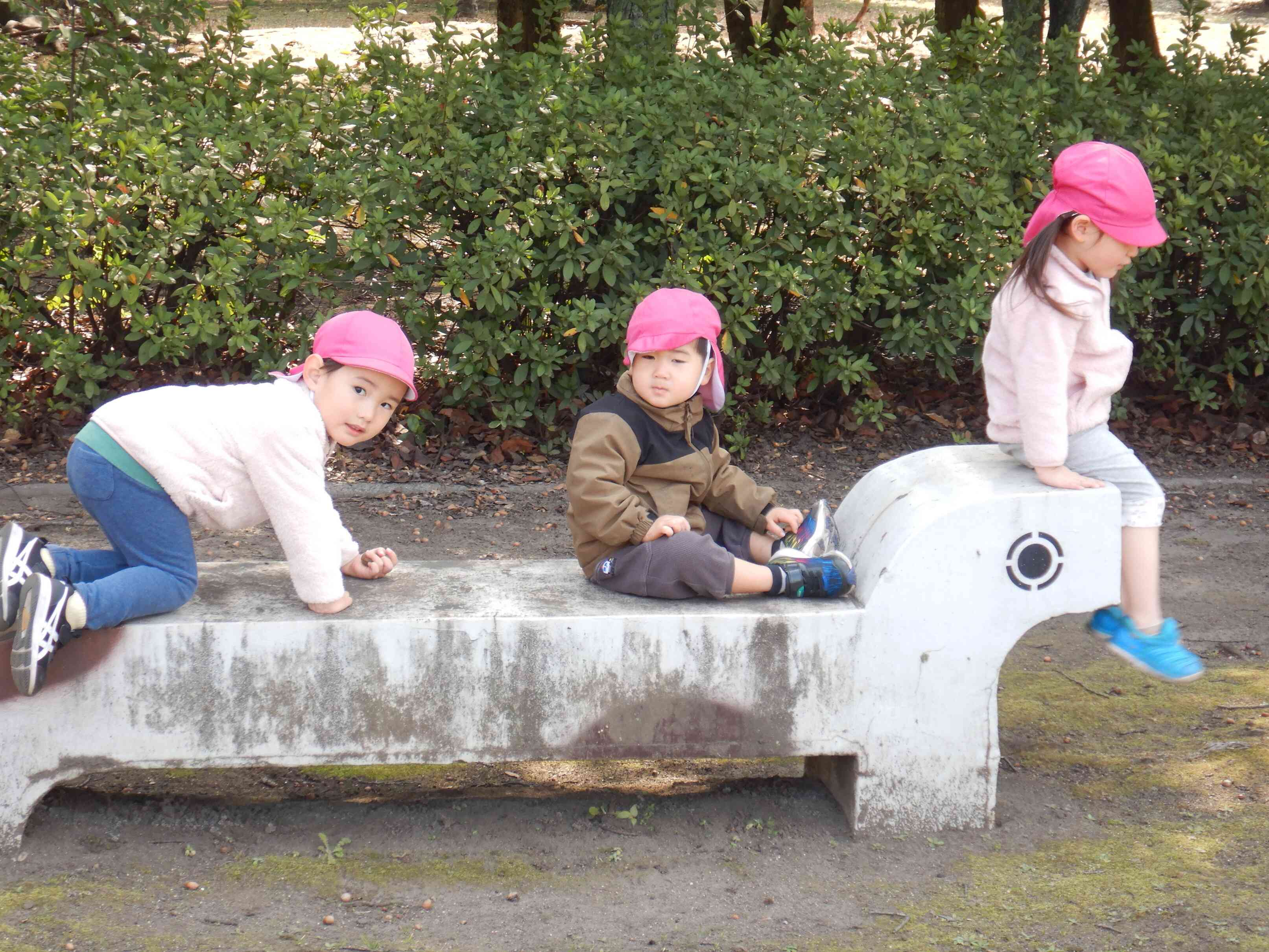 ボクも入れて～