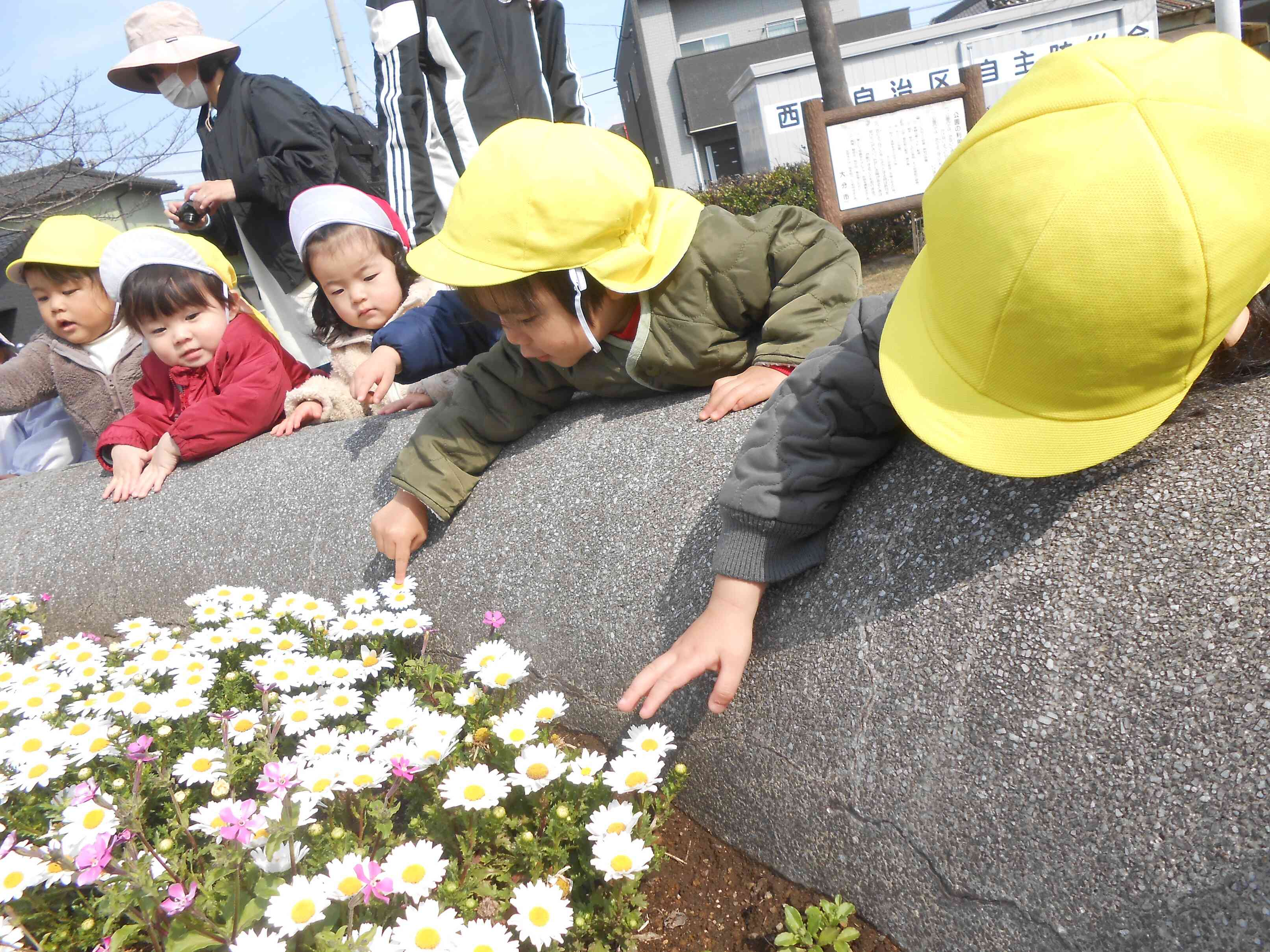 早速、お花み～つけた☆