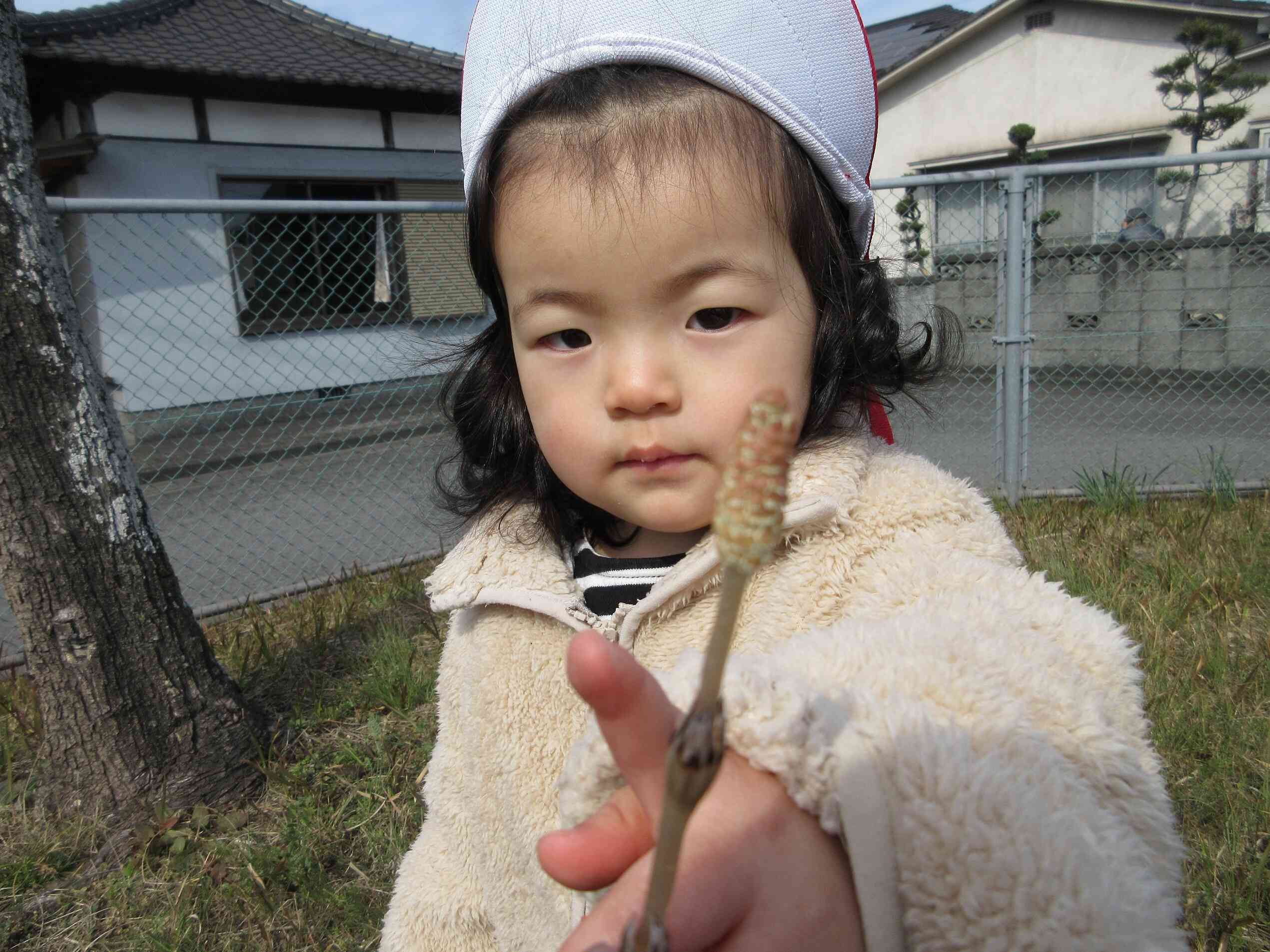 そっと触れています