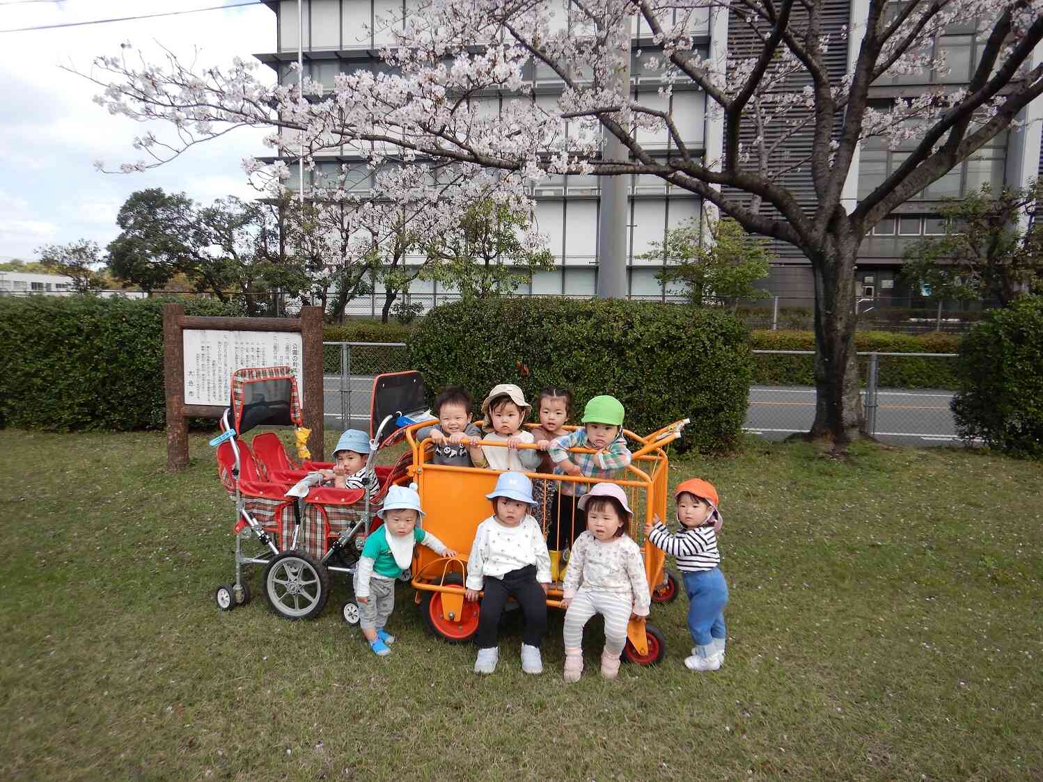 ～さくらの木の下～