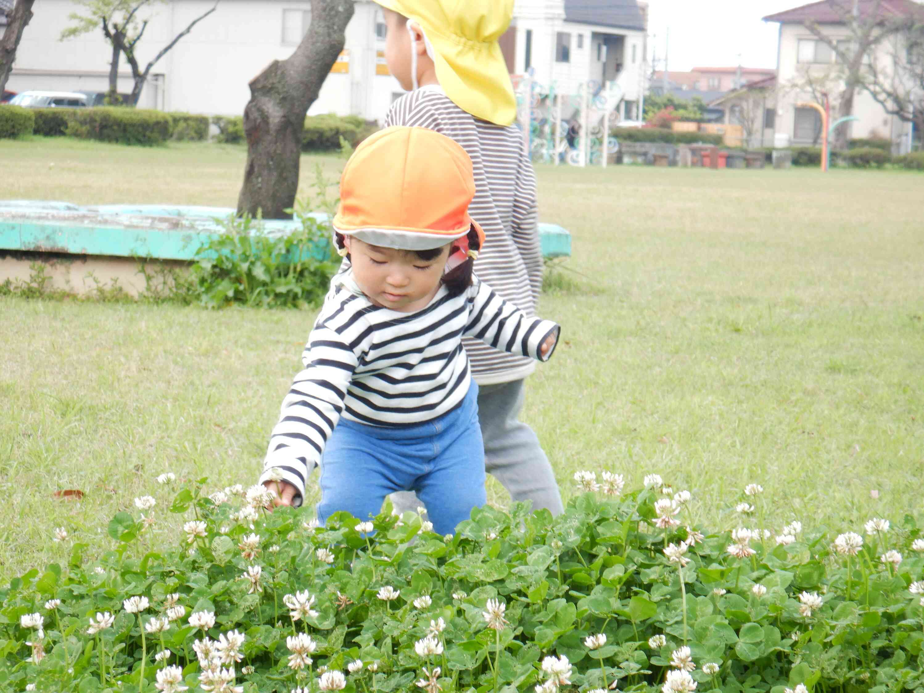 春のお花を見つけたよ！