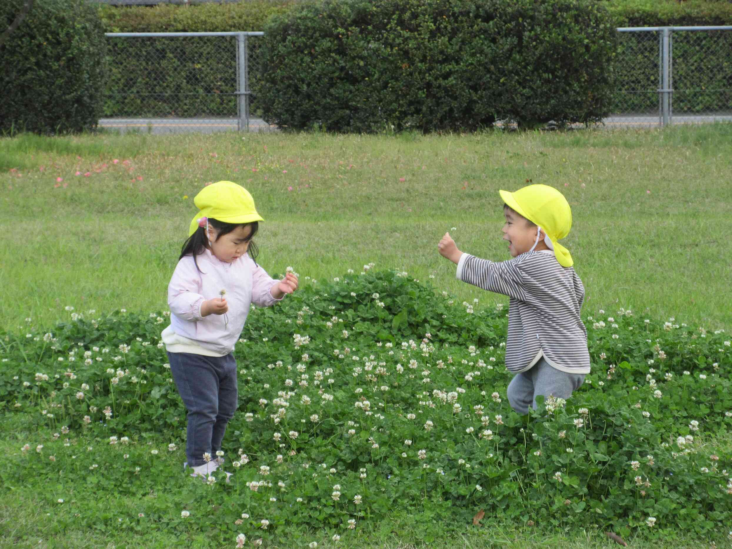 公園でお花をみつけたよ！