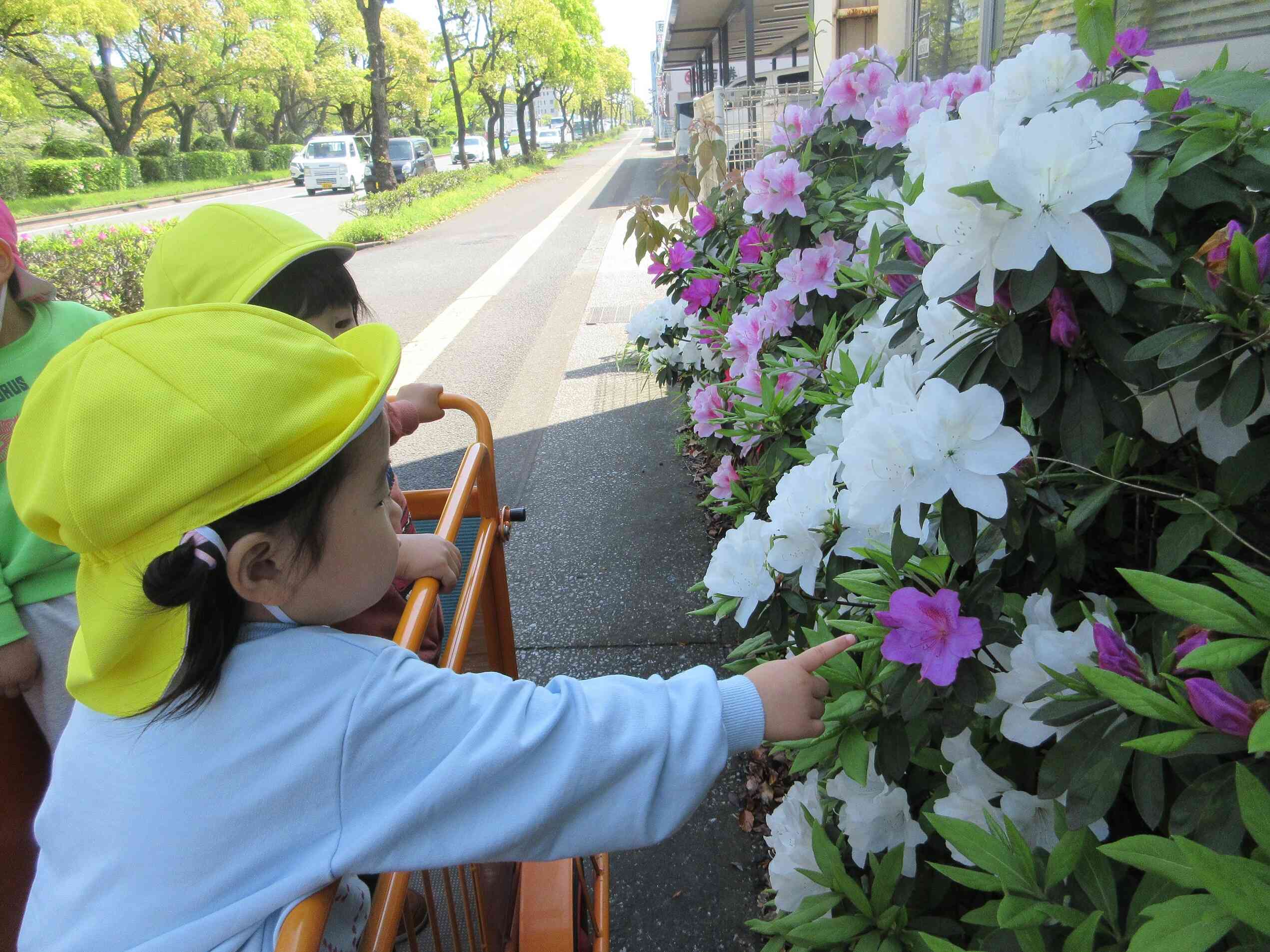 くま組・活動