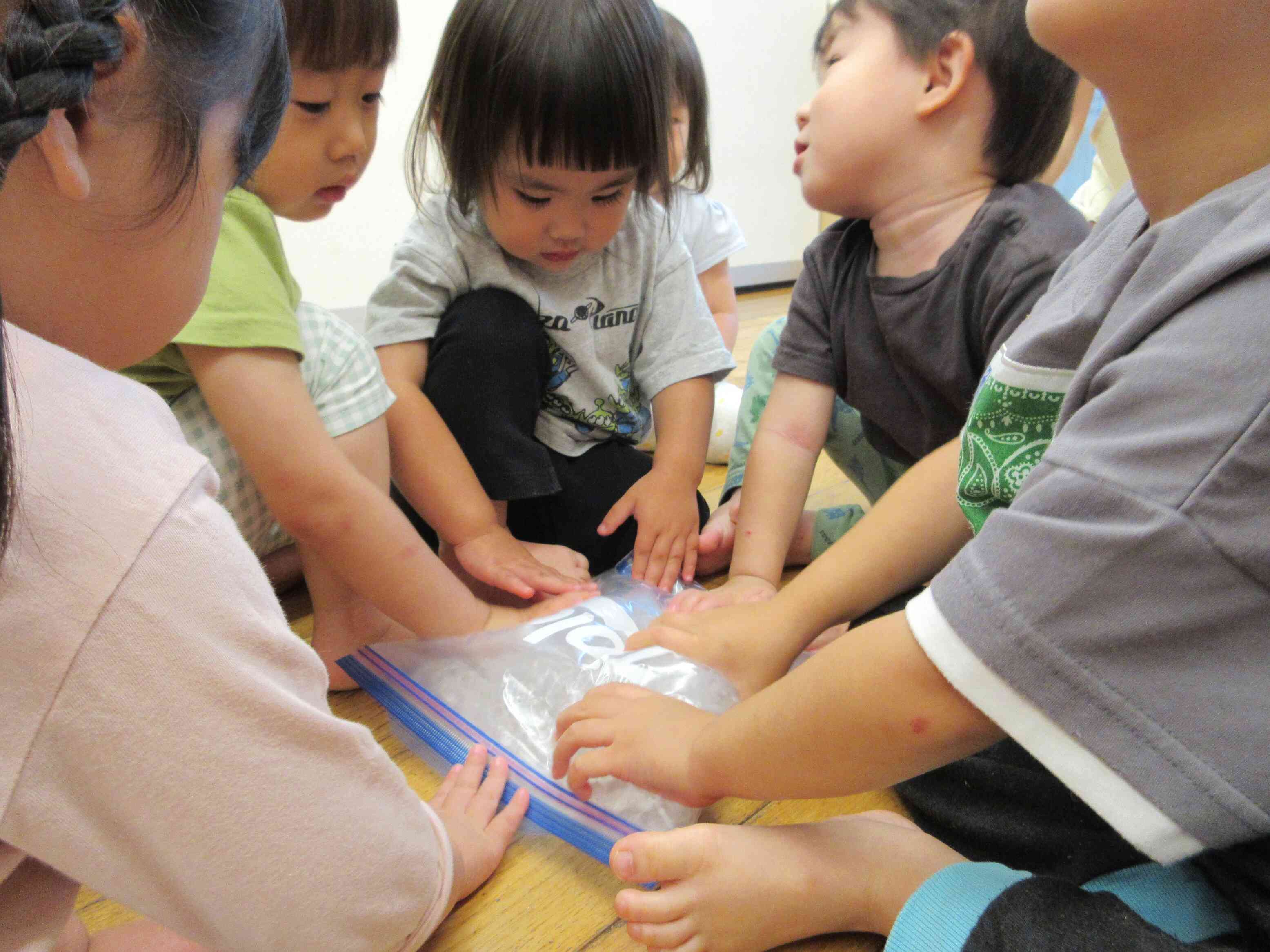 うさぎ くま　感触遊び