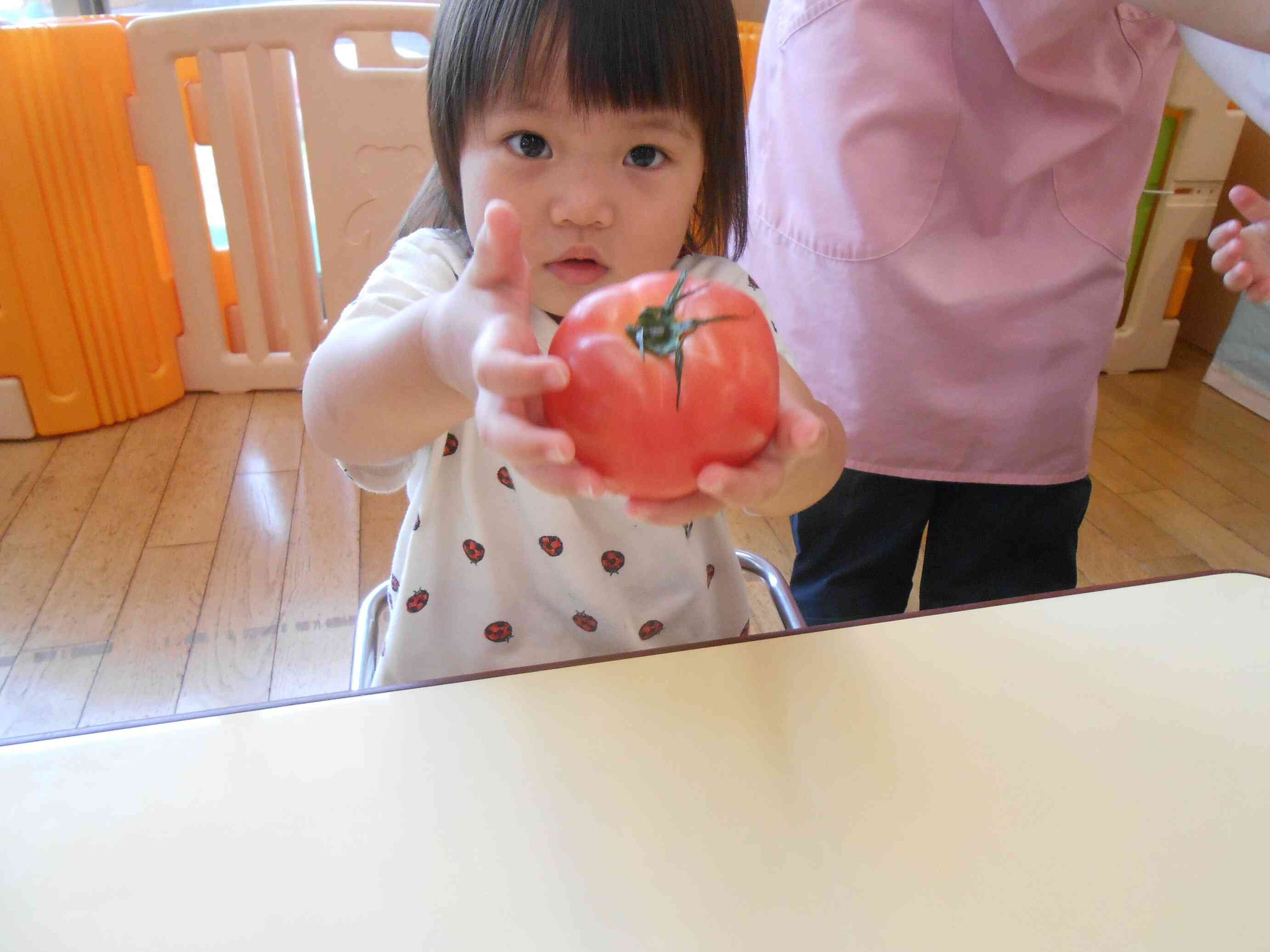 「トマト触ったよ～」