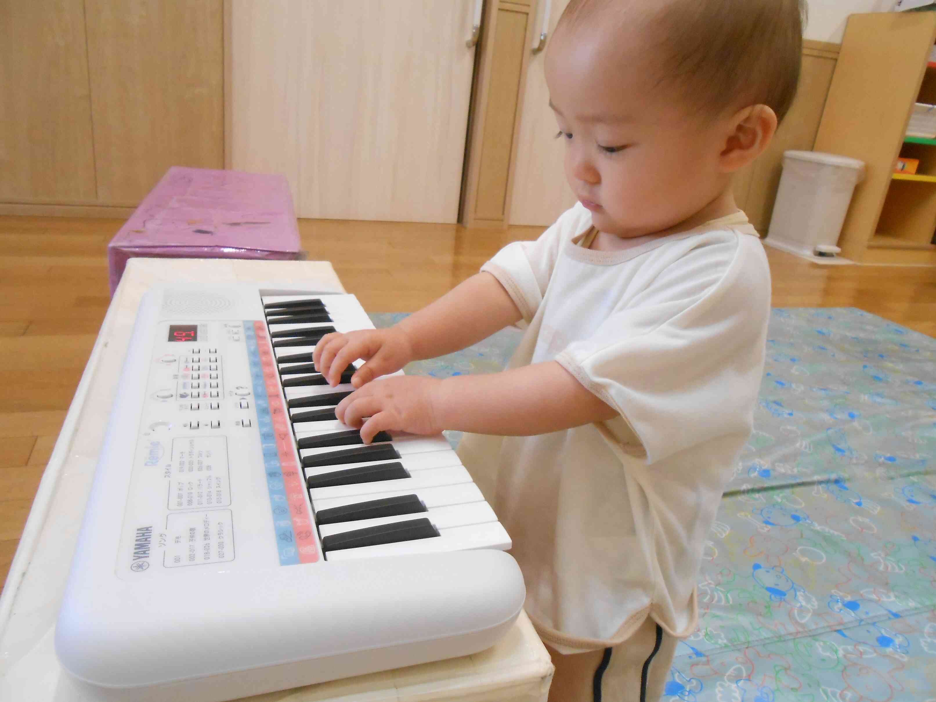 りすぐみ　あたらしいお友だち紹介