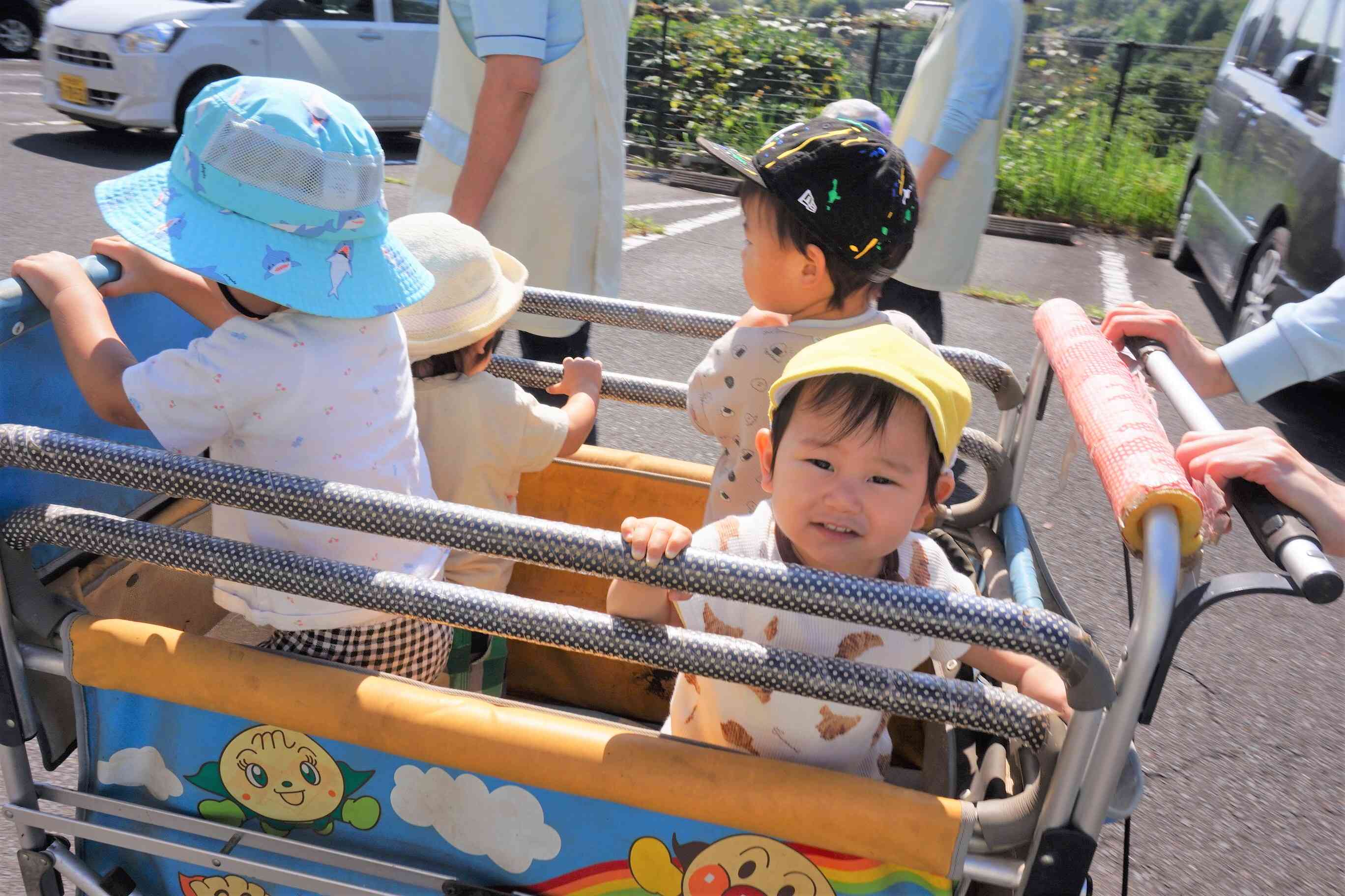 お散歩
