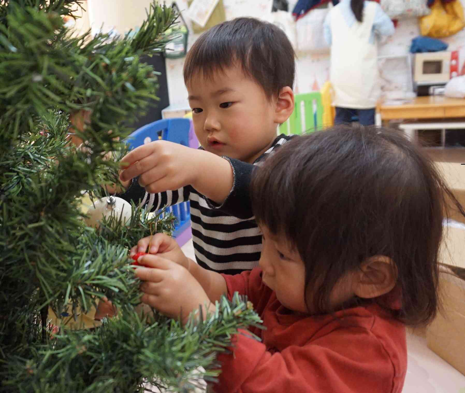 ツリーを飾ったよ♪