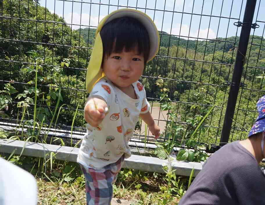 おさんぽ