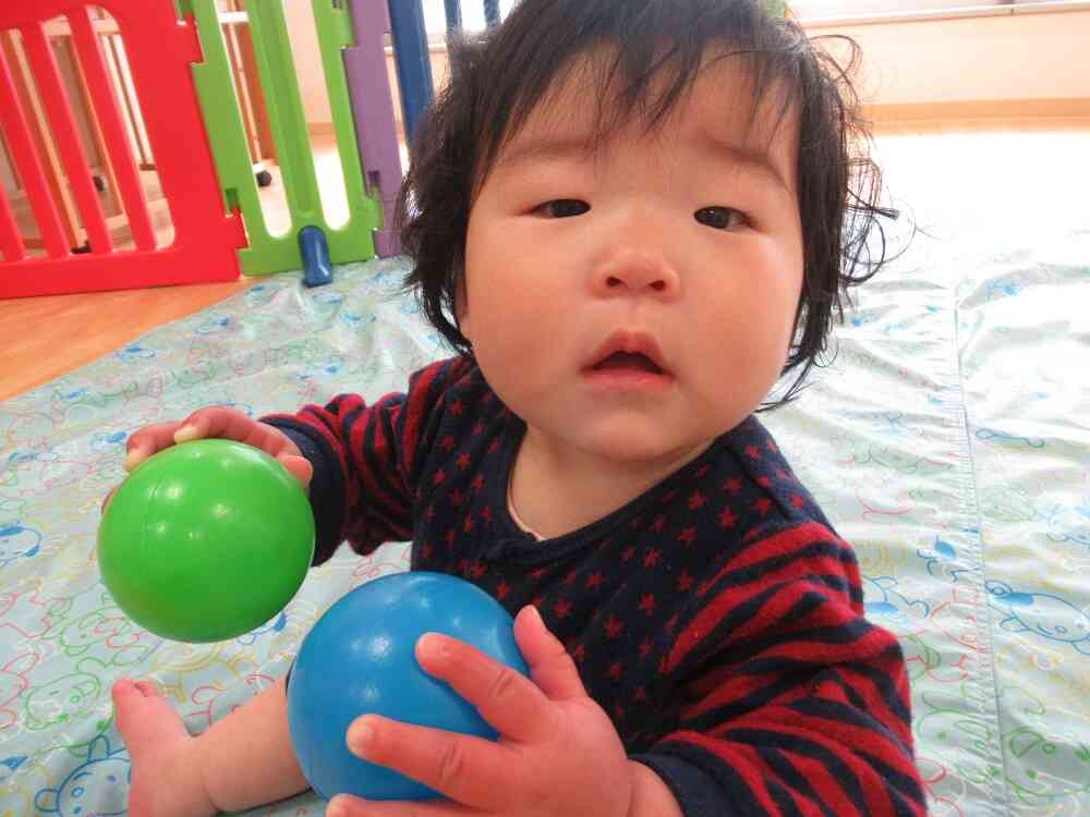 ひよこ組の午前中の様子
