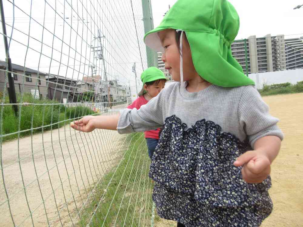 ここに入るかな？