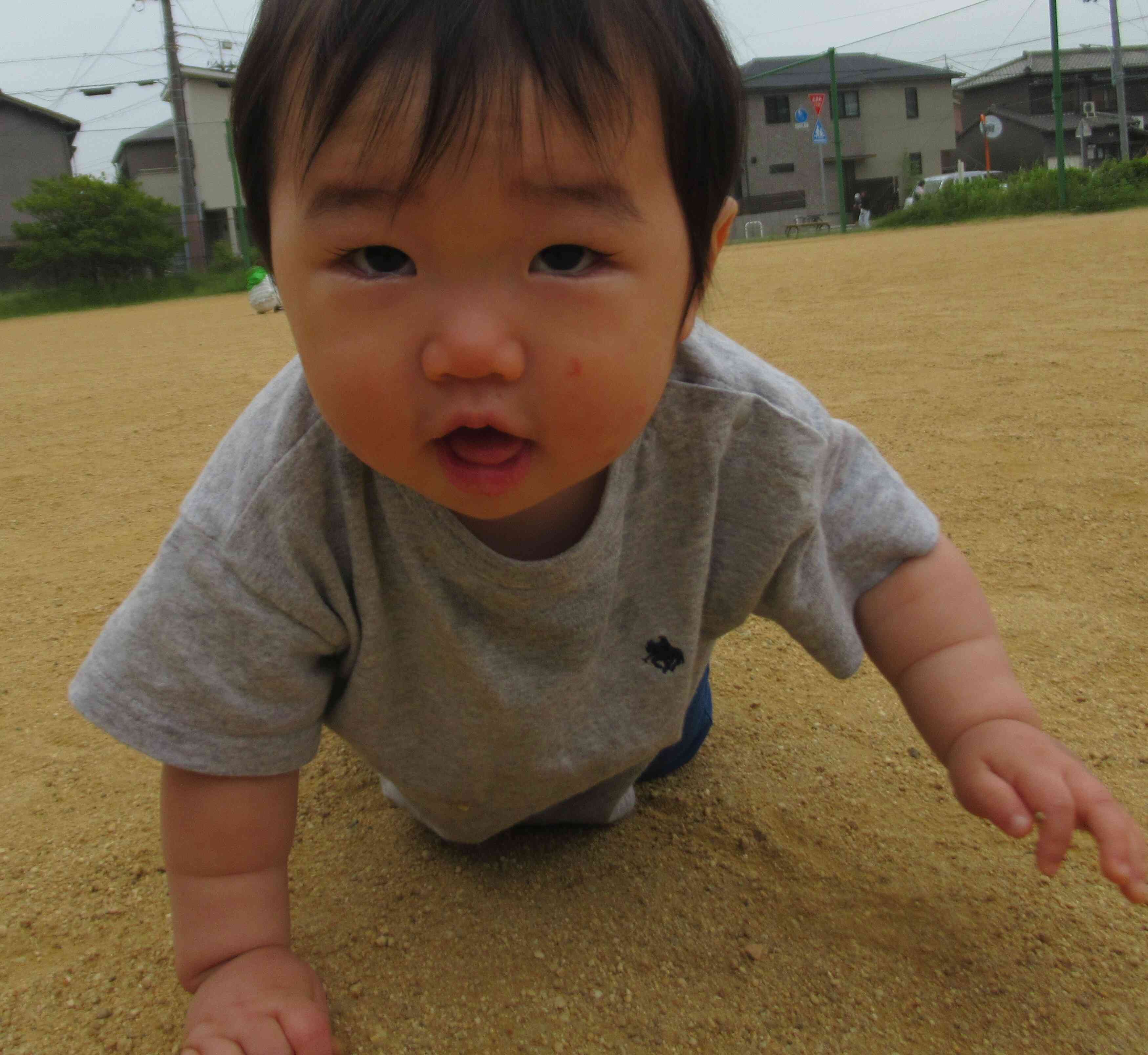 先生、みーつけた！