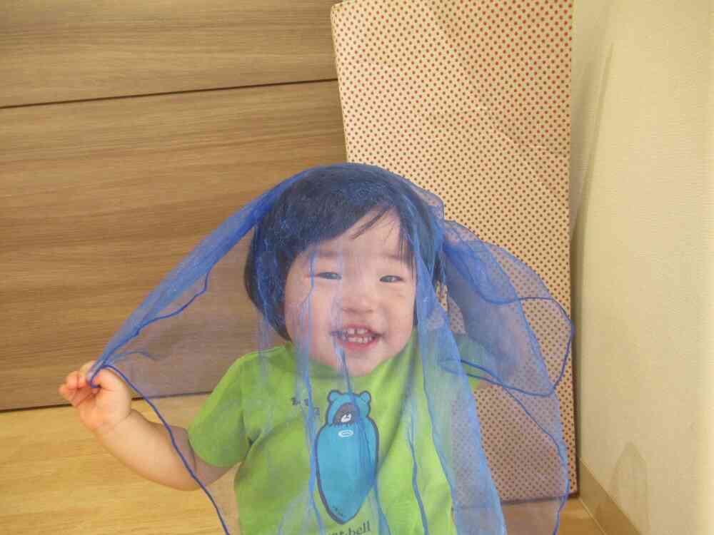 見てみて！