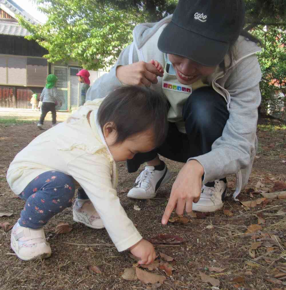 ひよこ組さんは・・・