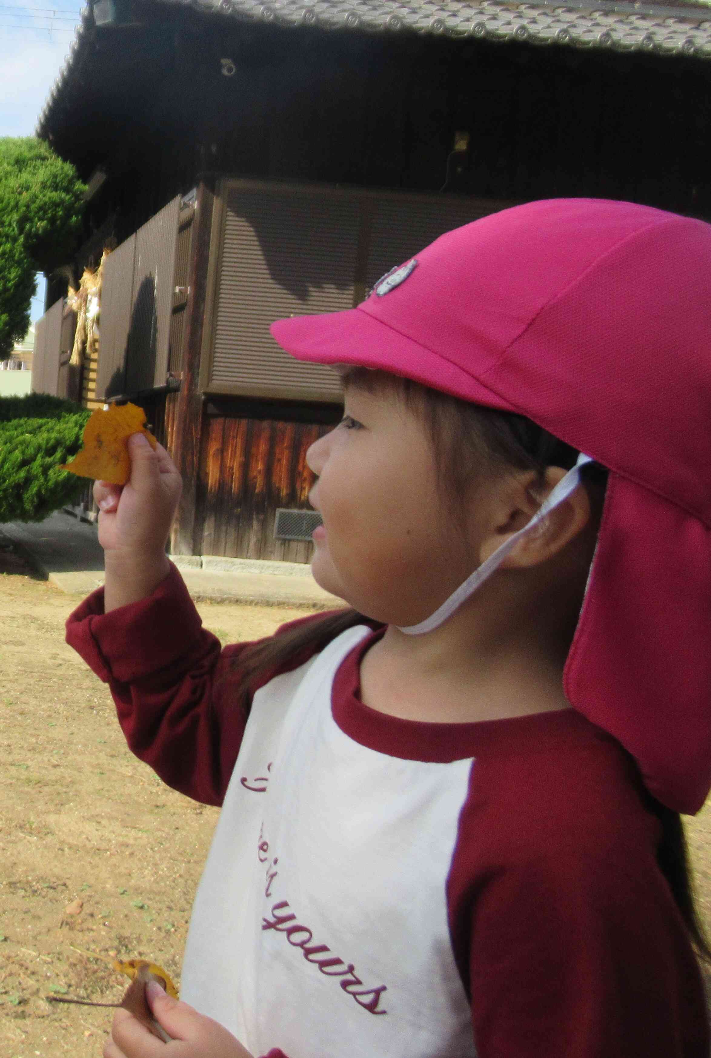 うさぎ組の秋見つけ