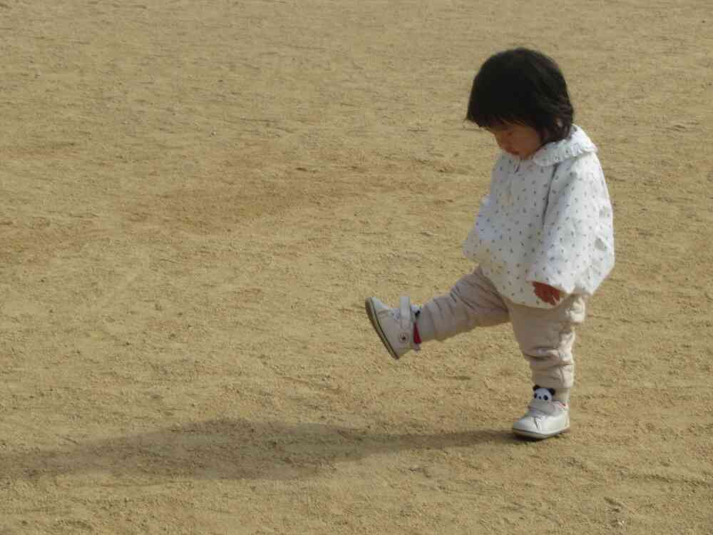 ひよこ組のお友達も