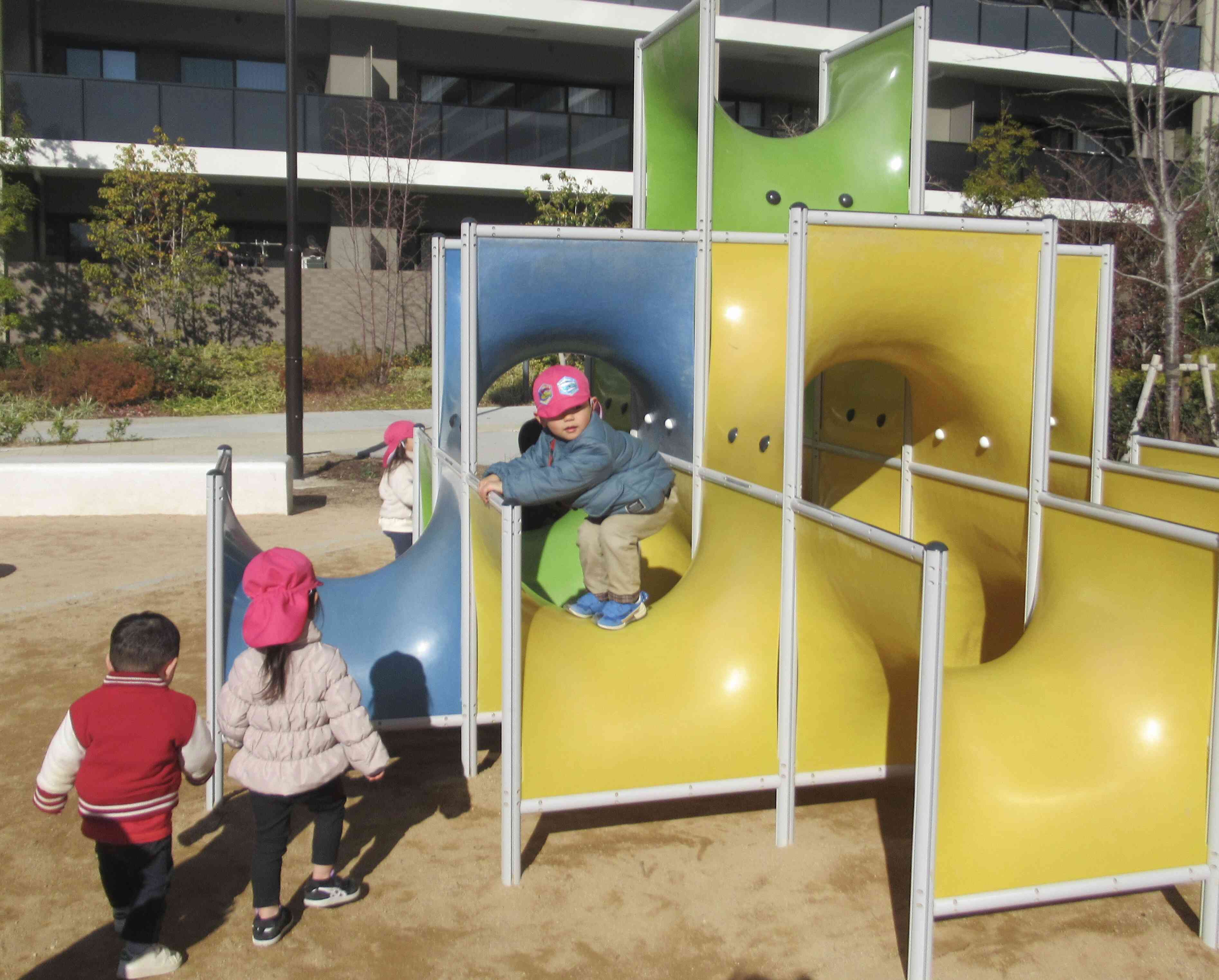 ジャングルジムで