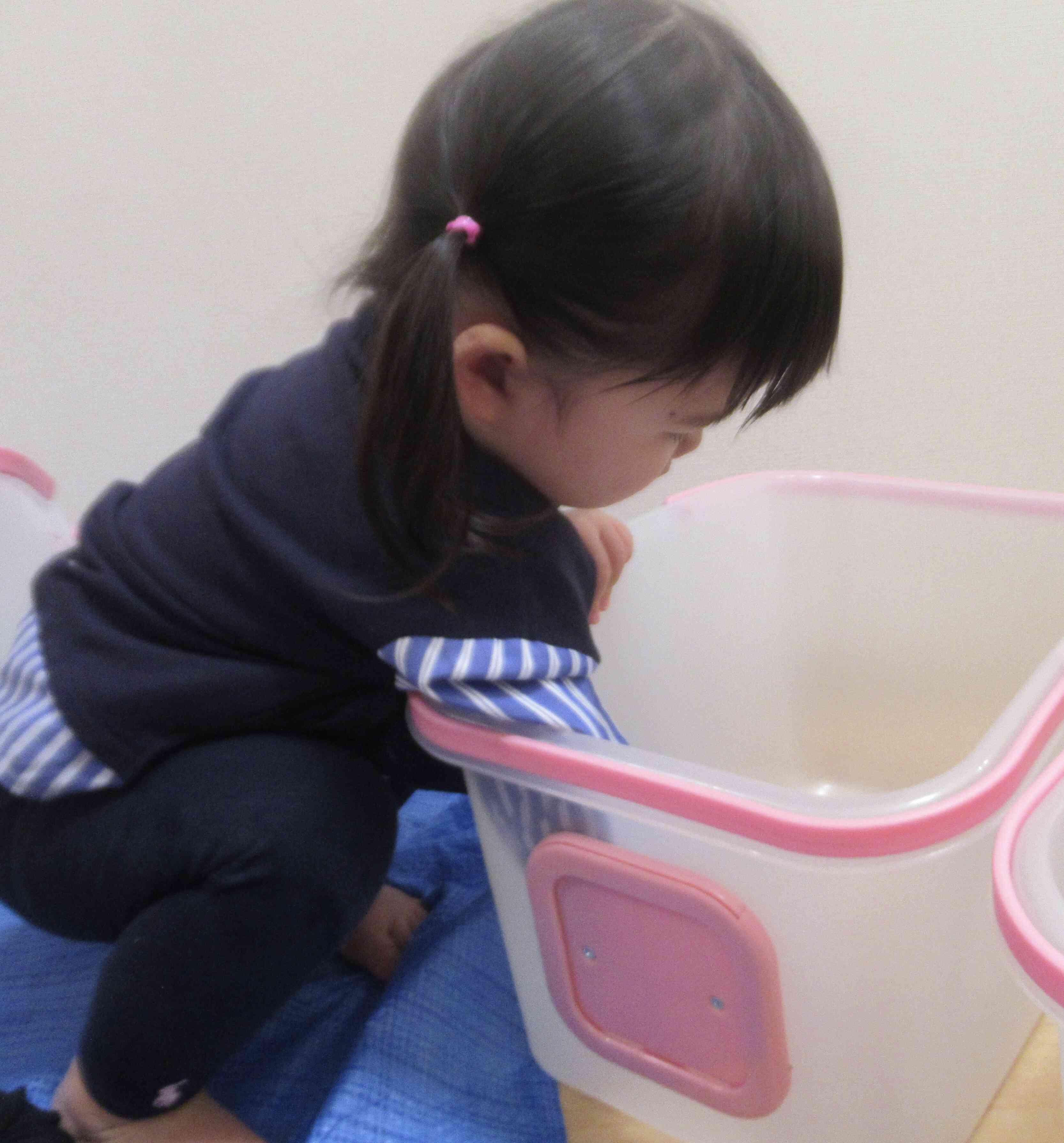 よいしょ、よいしょ､､