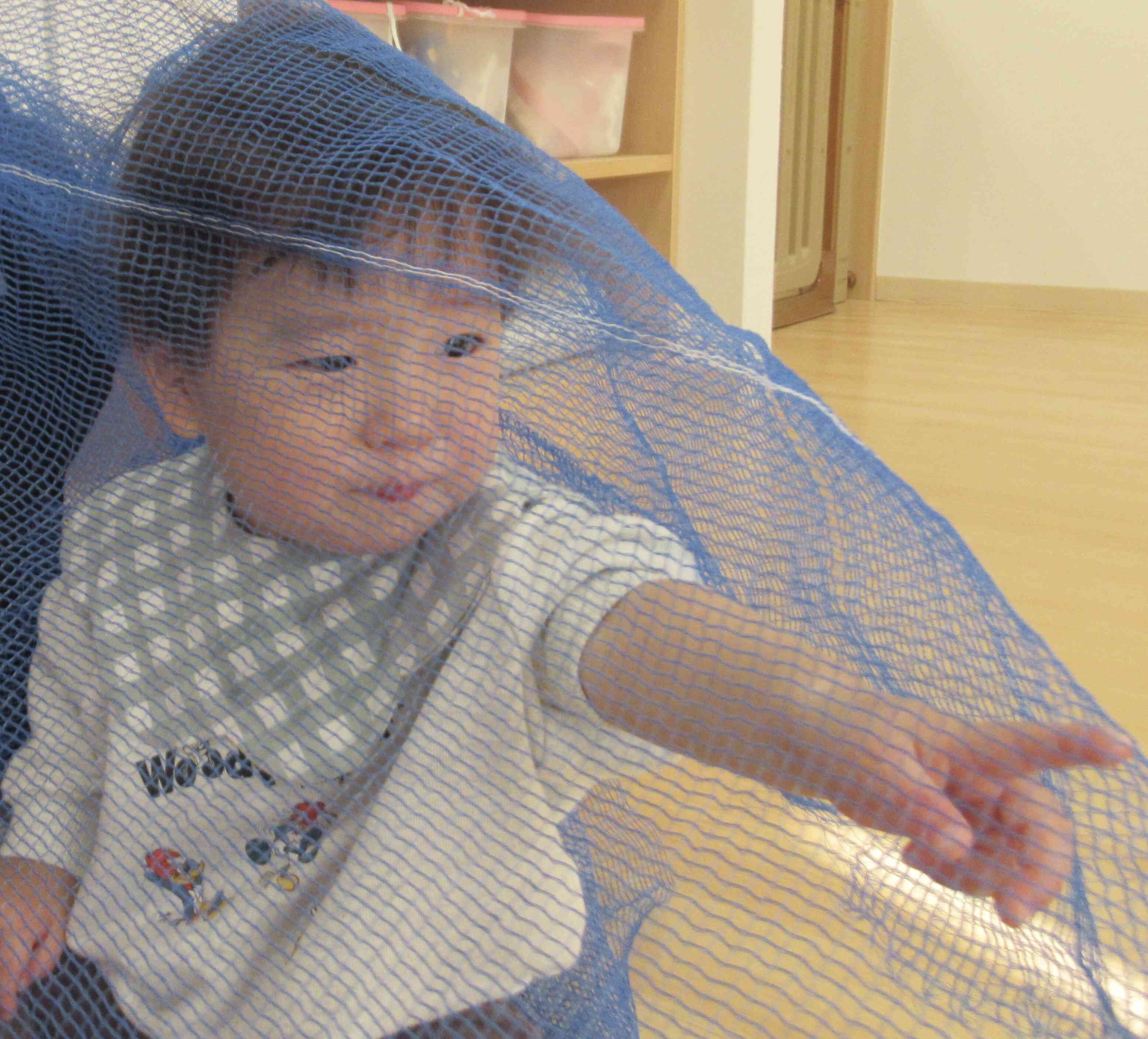 ひよこ組　サーキット遊び