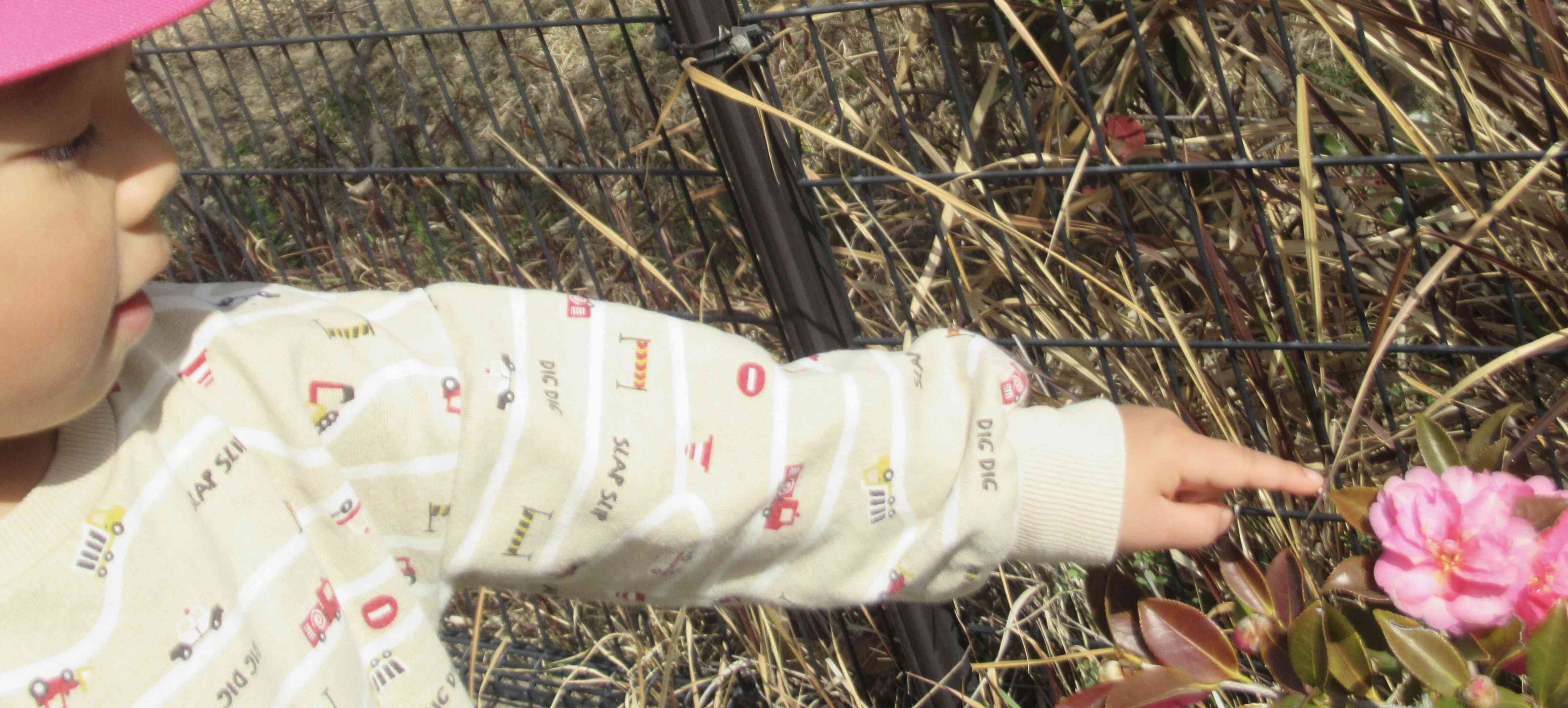 2月なのに外はポカポカ！