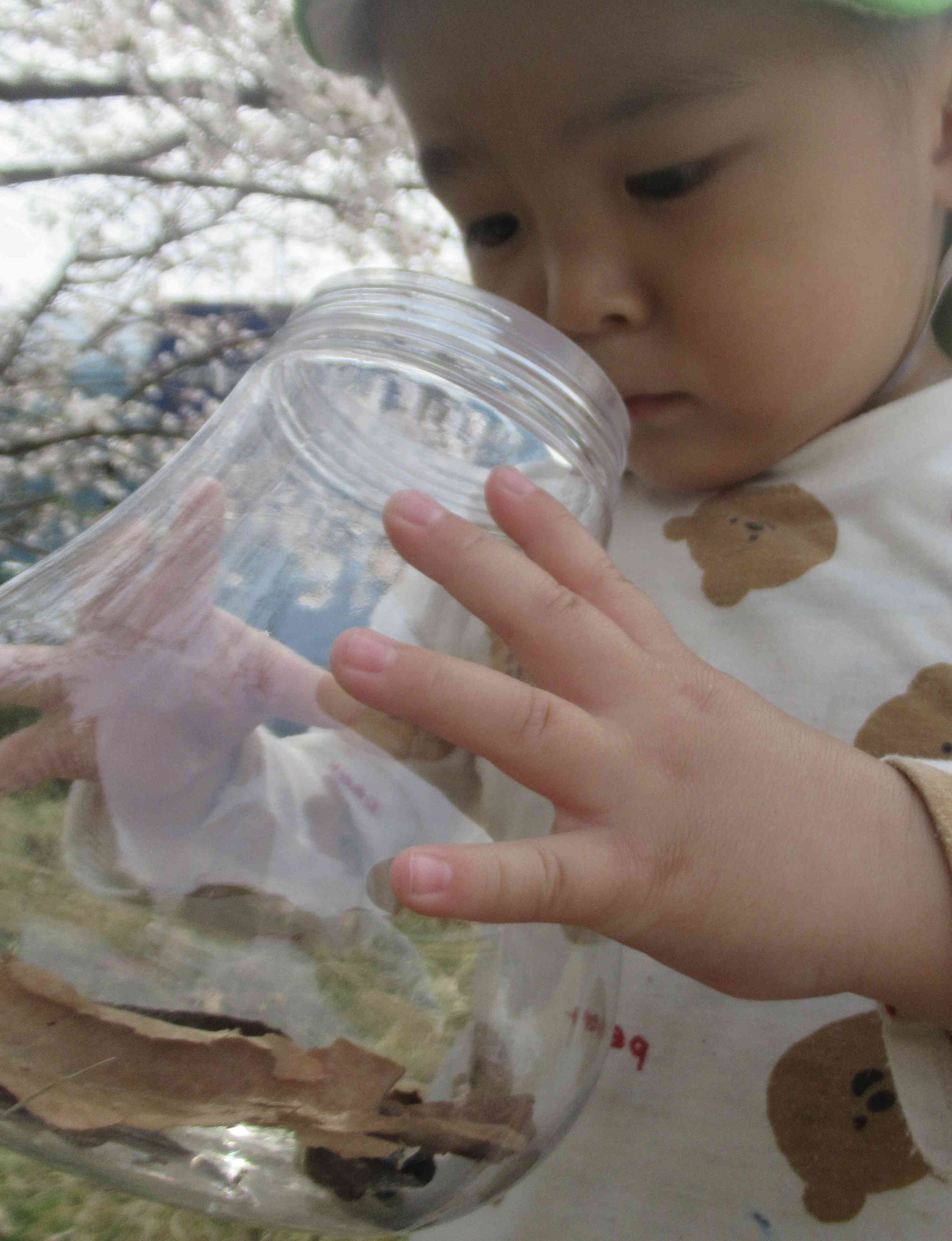 中に何がいる？