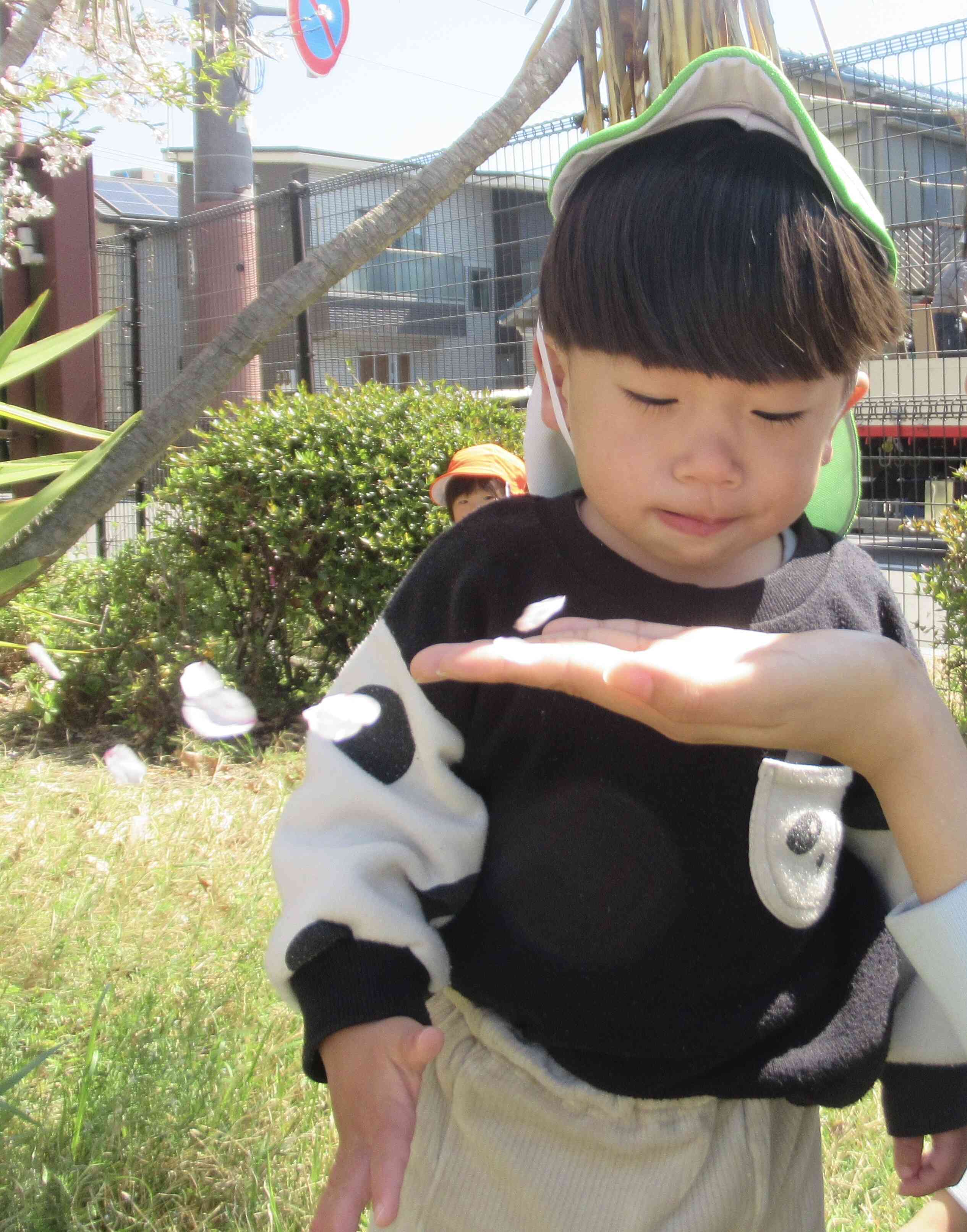 せーの、ふーっ！！