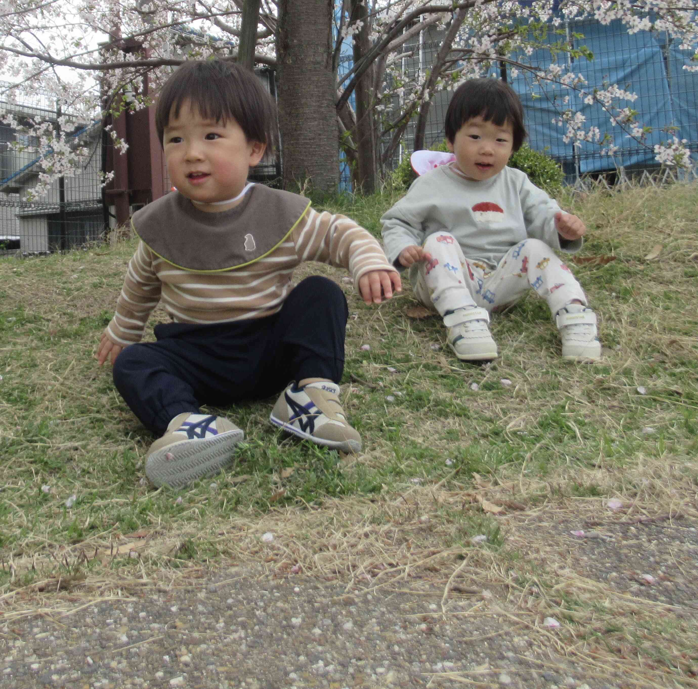 ぼくたちもやってみたよ！