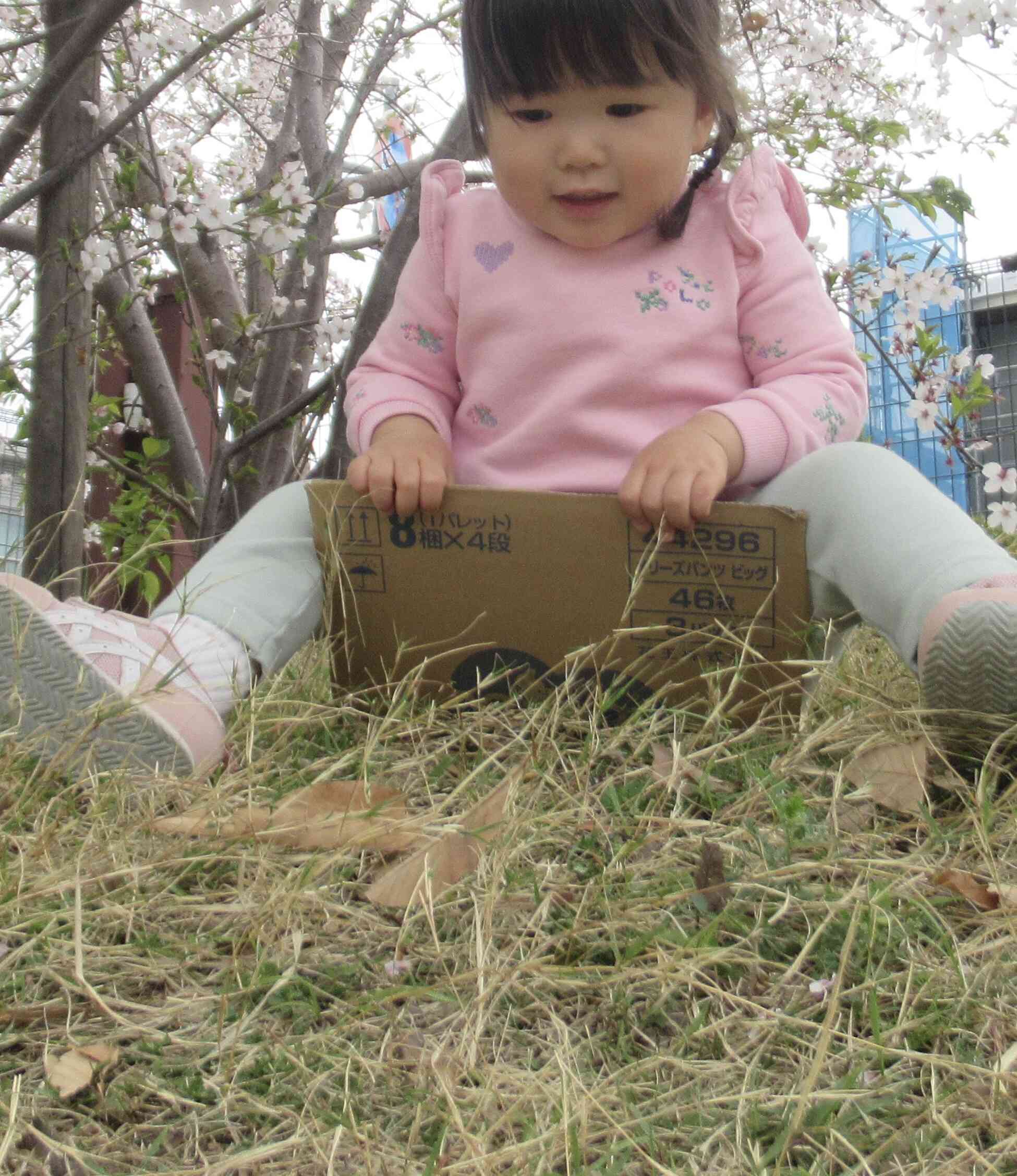 坂滑り面白い！