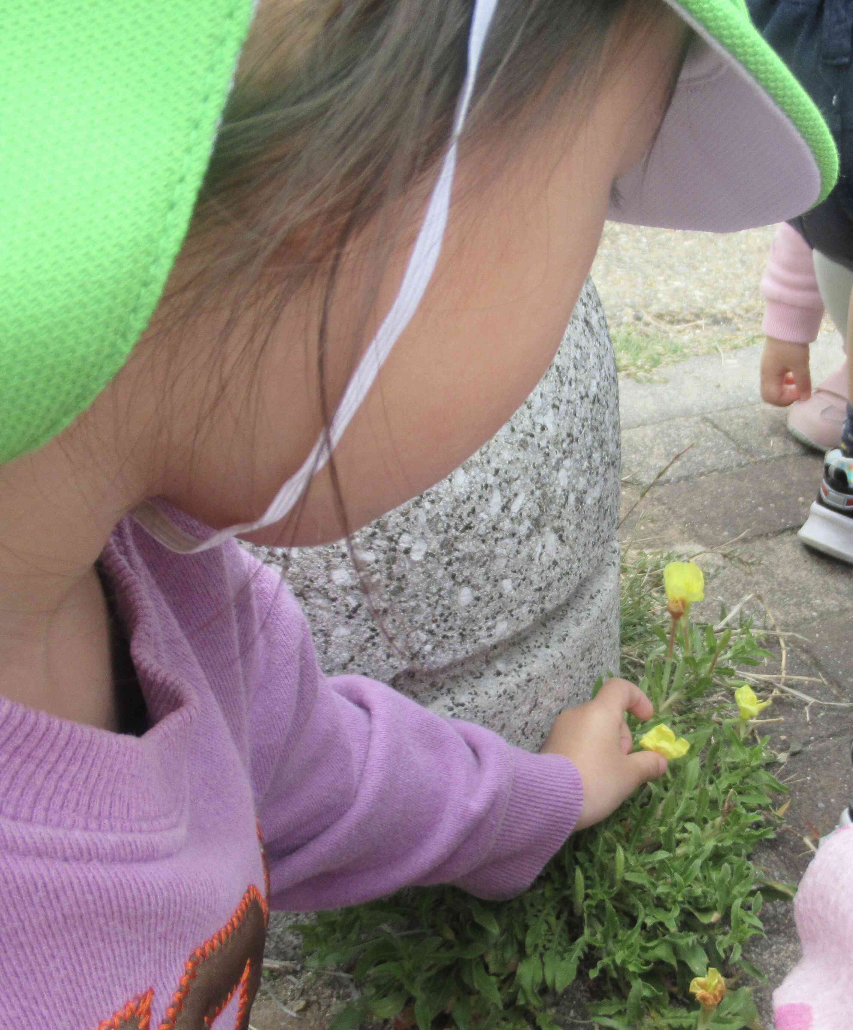 可愛いお花見つけたよ！