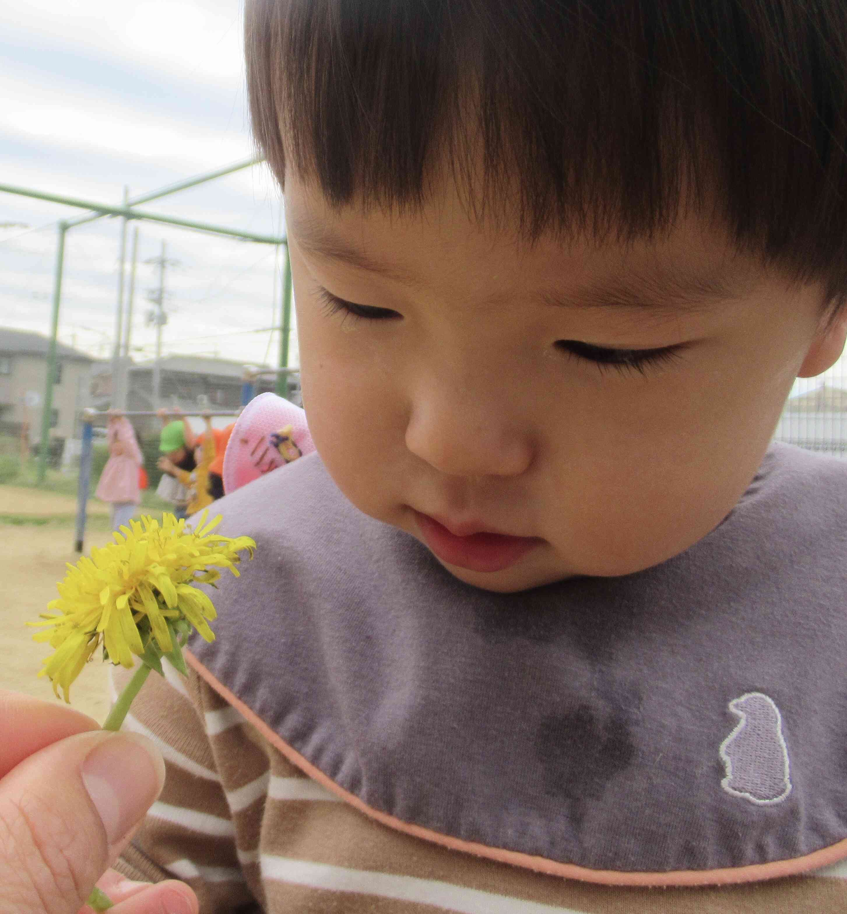 お花ボード作ったよ♪