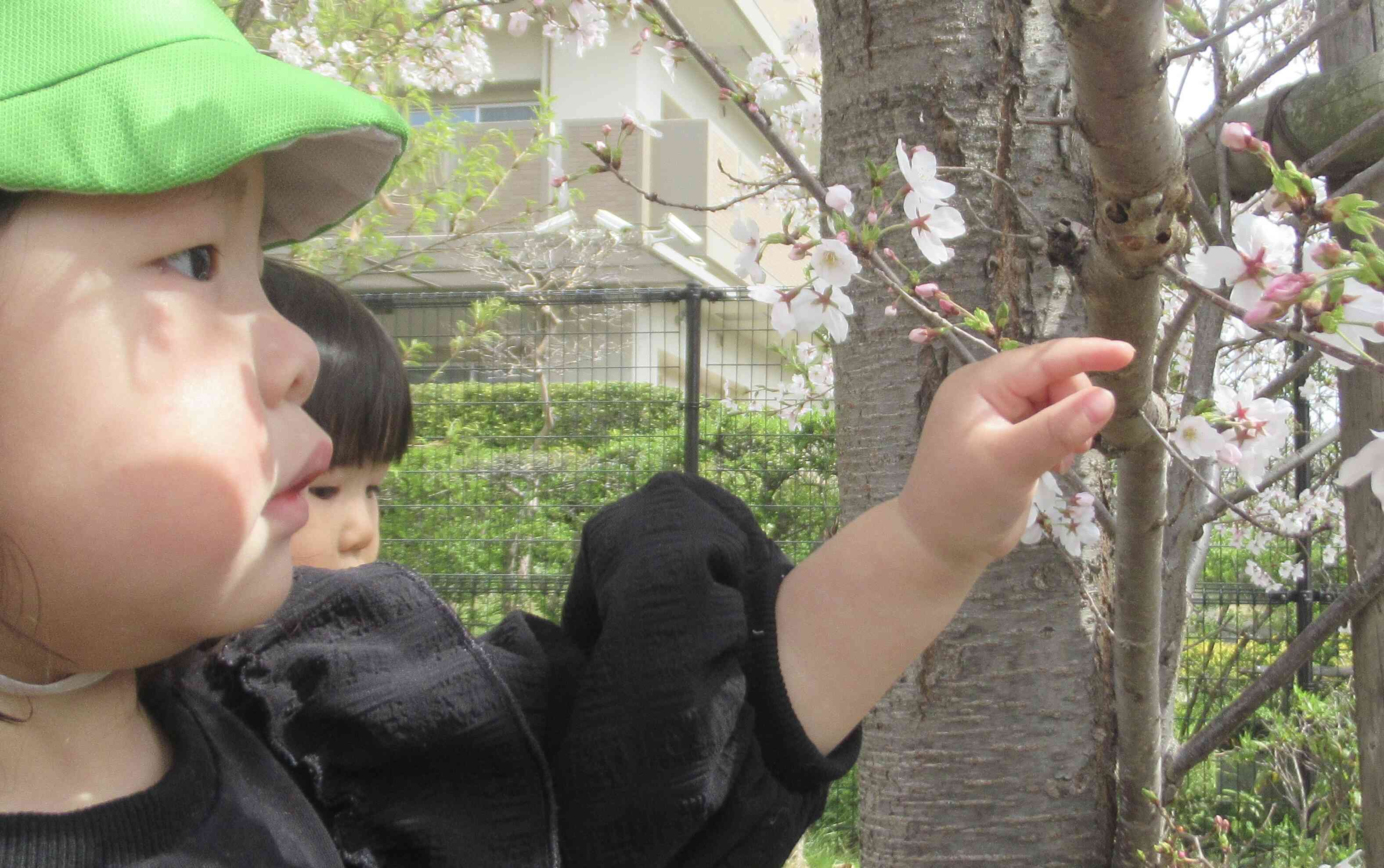 春見つけに行ったよ