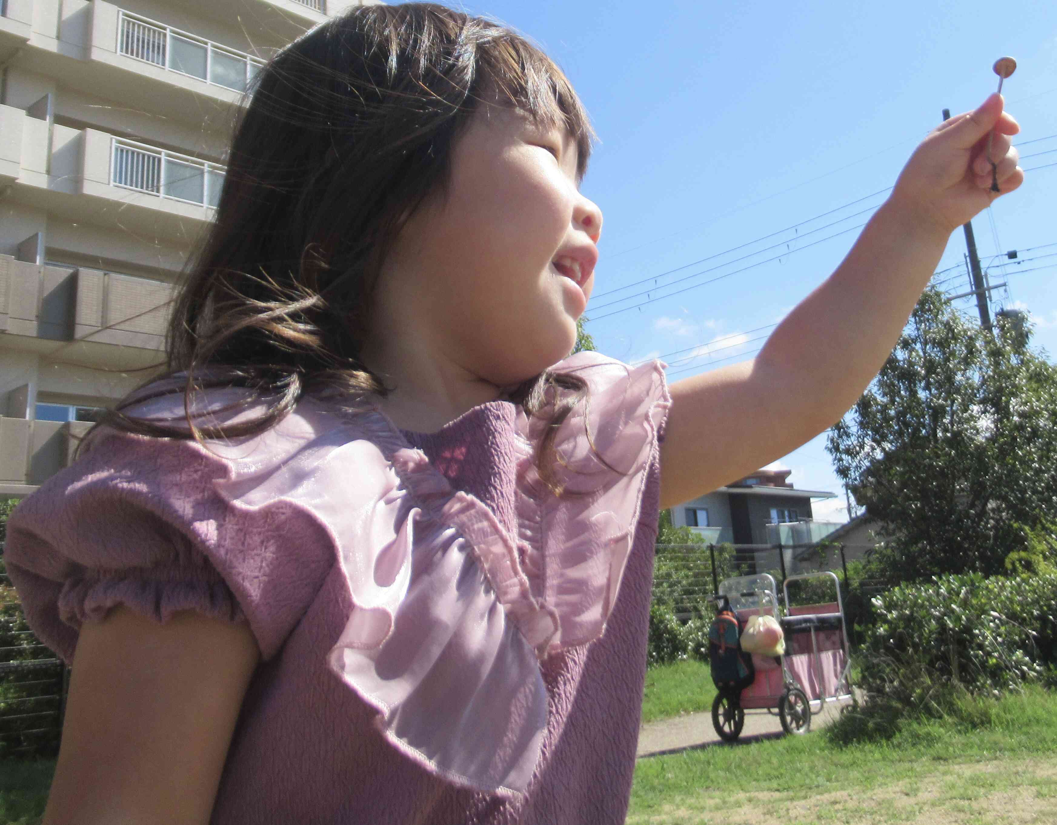 うわぁ！キノコだ！！