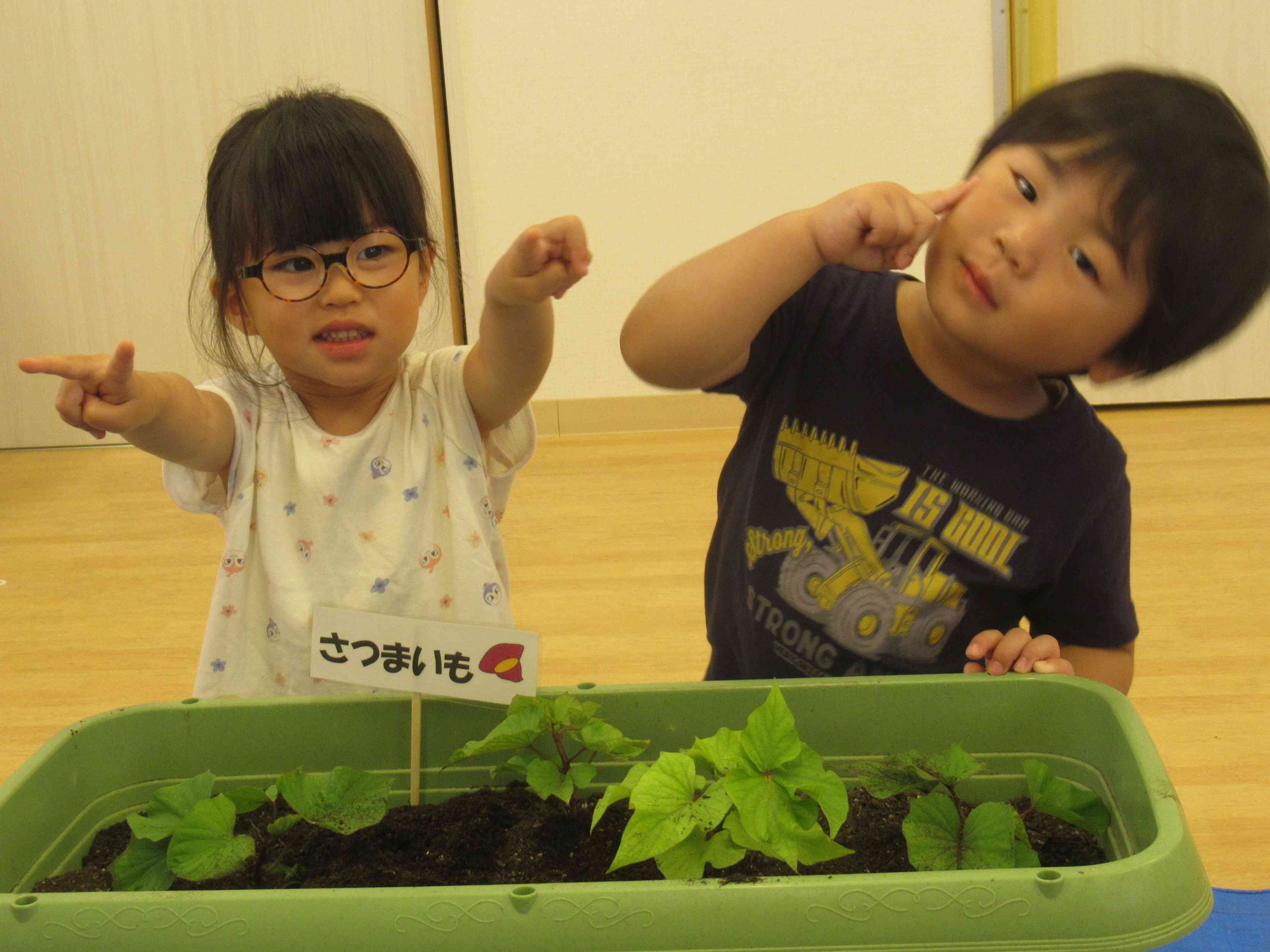 苗植えしました！