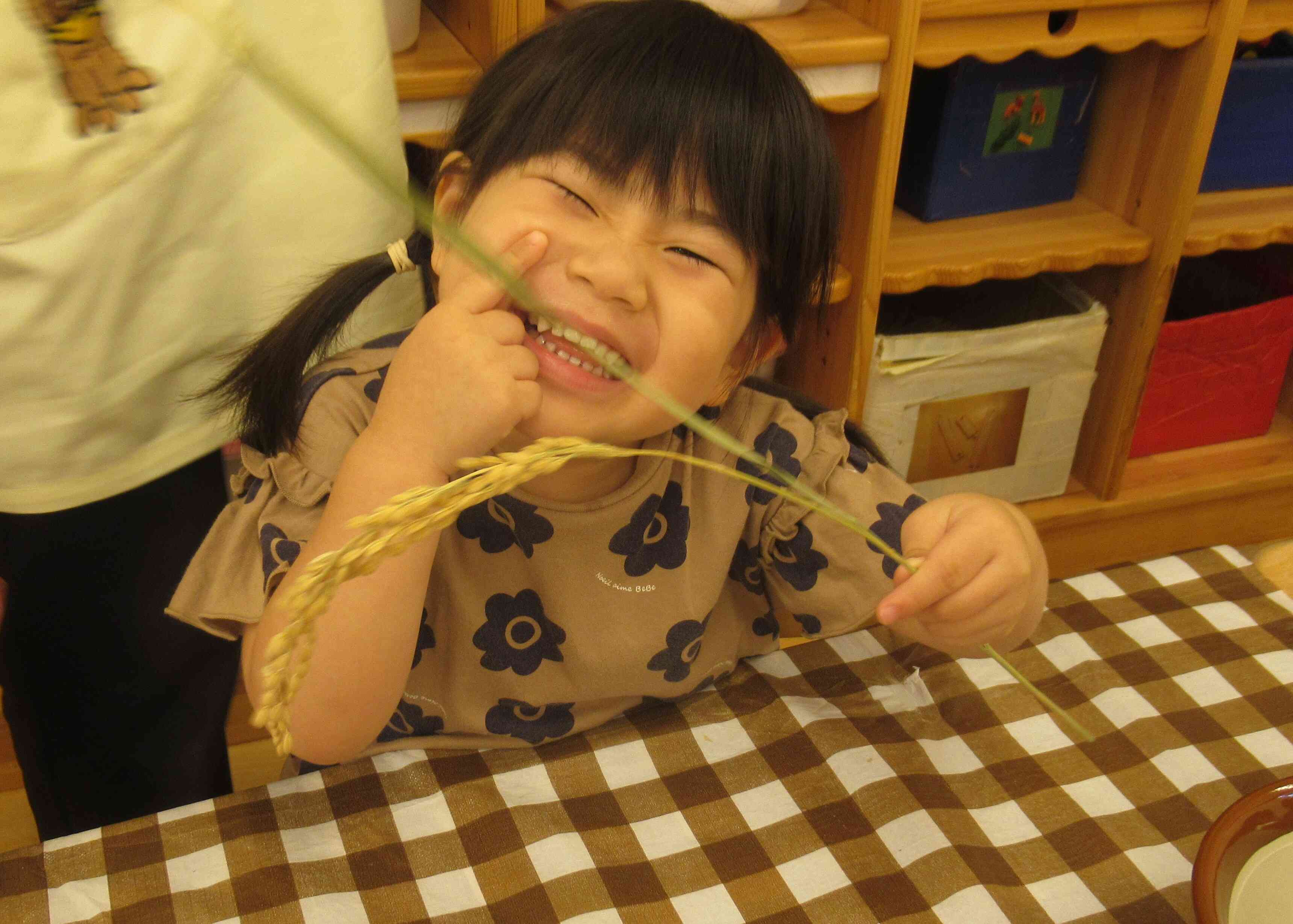 食育をしました！
