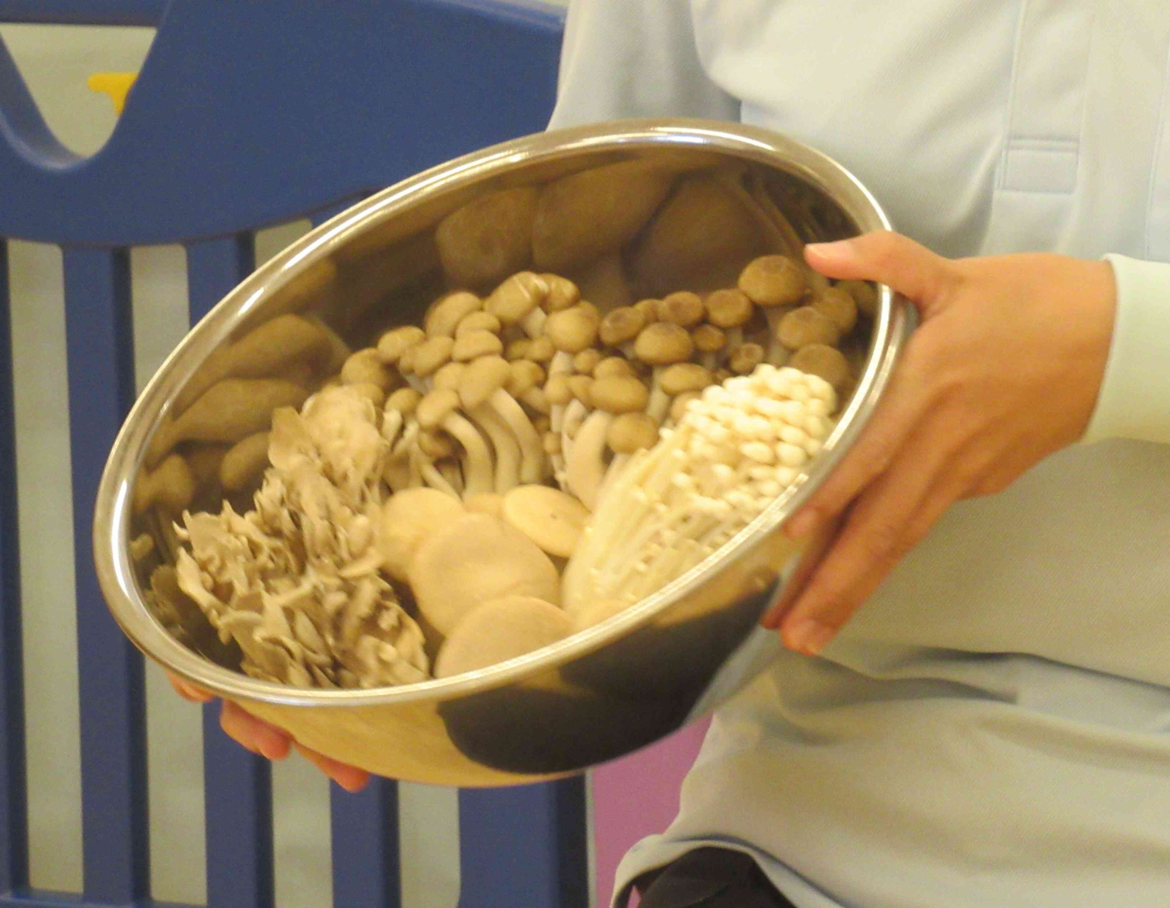 こんなにたくさんのキノコがありました！