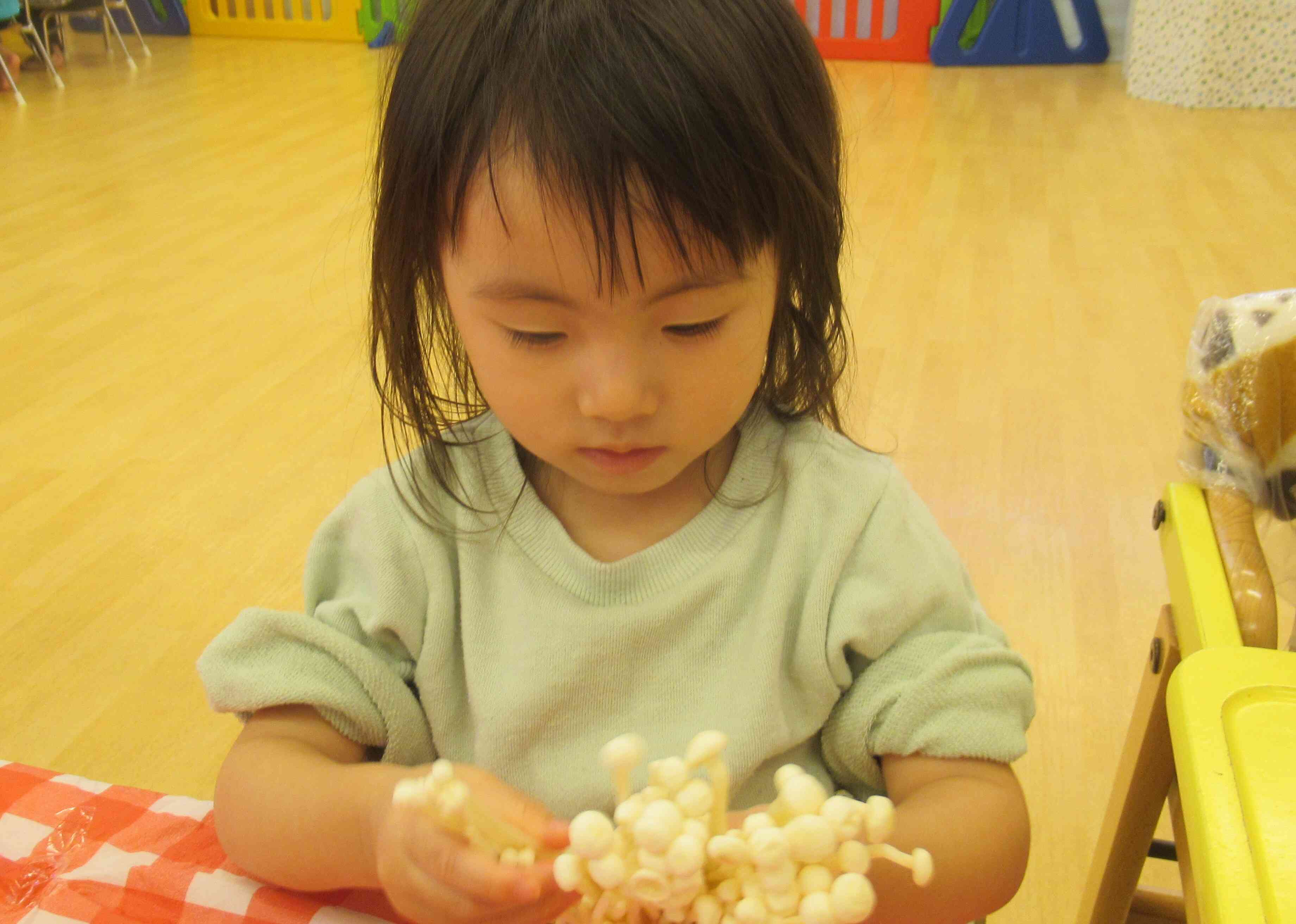 エノキを割いていくよ♪