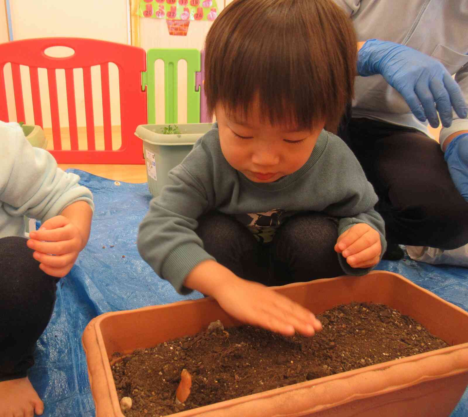 そ～っと土をかぶせて…