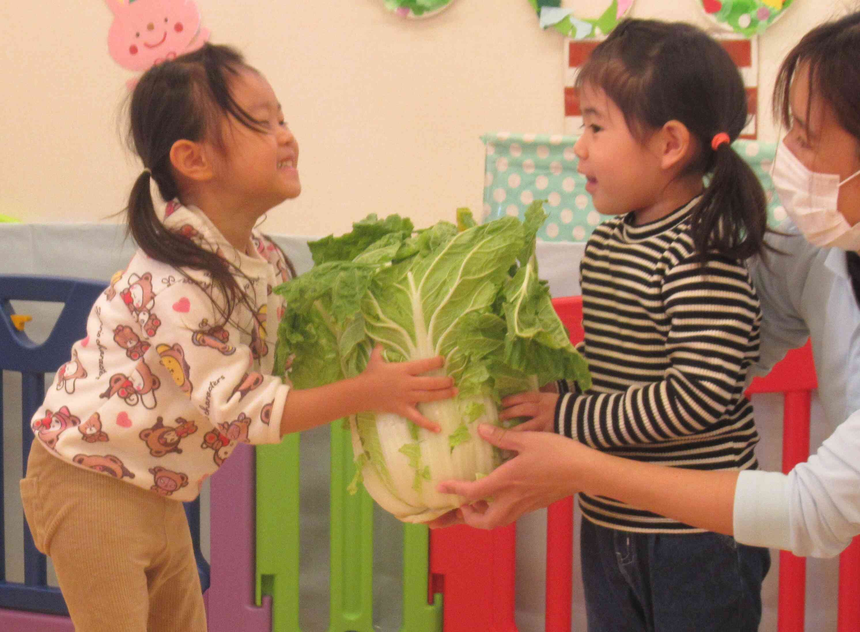 白菜の食育をしました♪