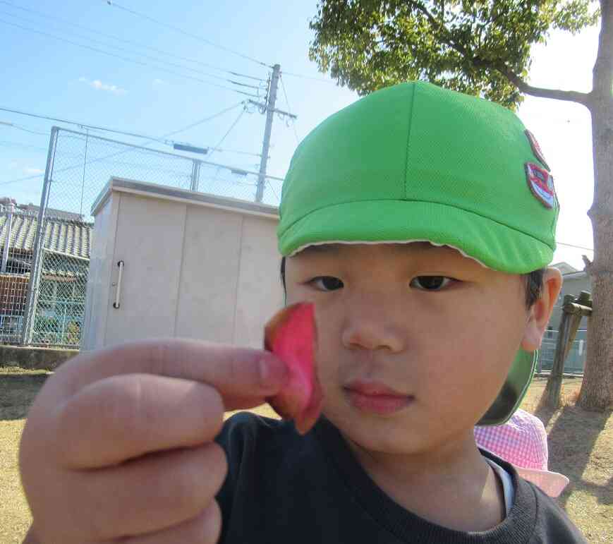 ぼくも見つけた！