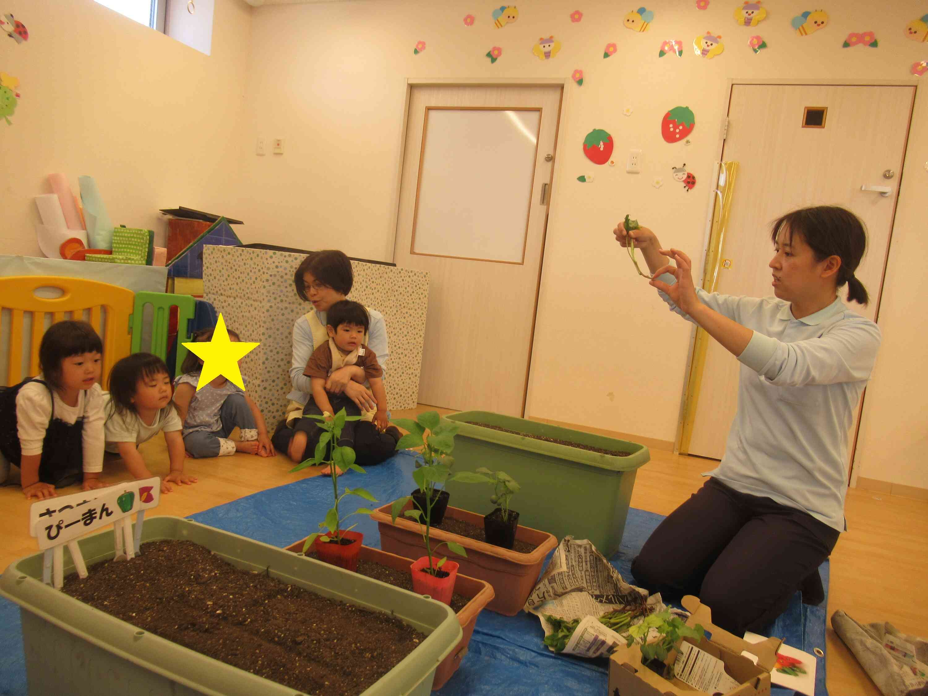 ピーマンとオクラの苗植えをしました!