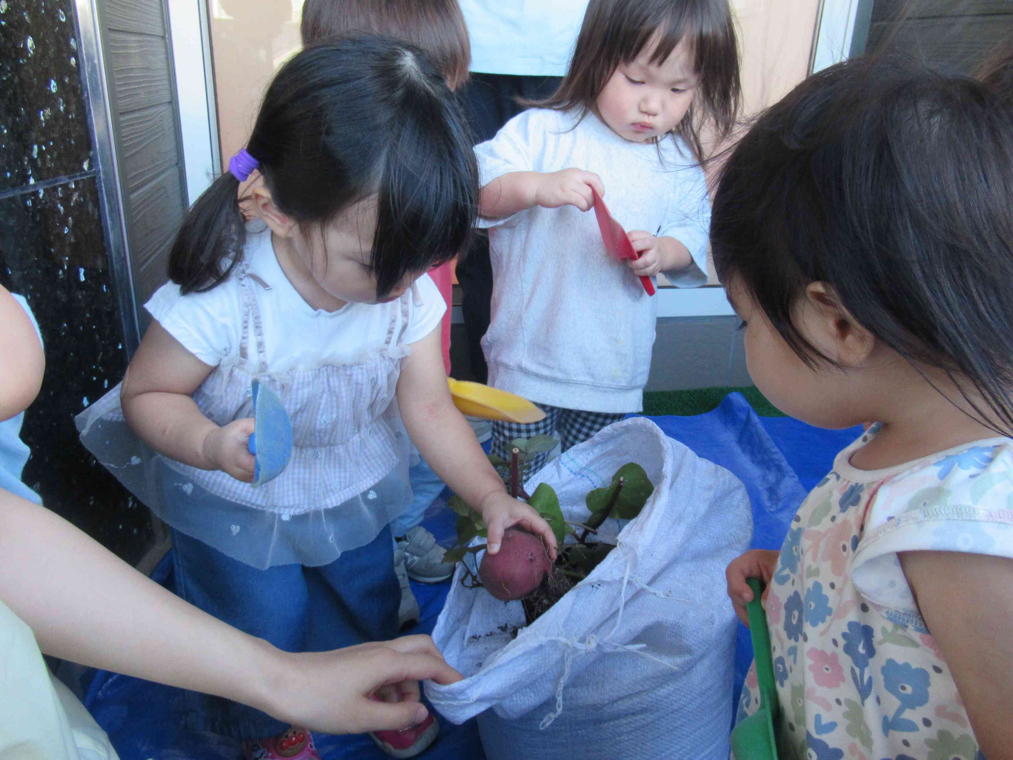 たくさんほれるね~