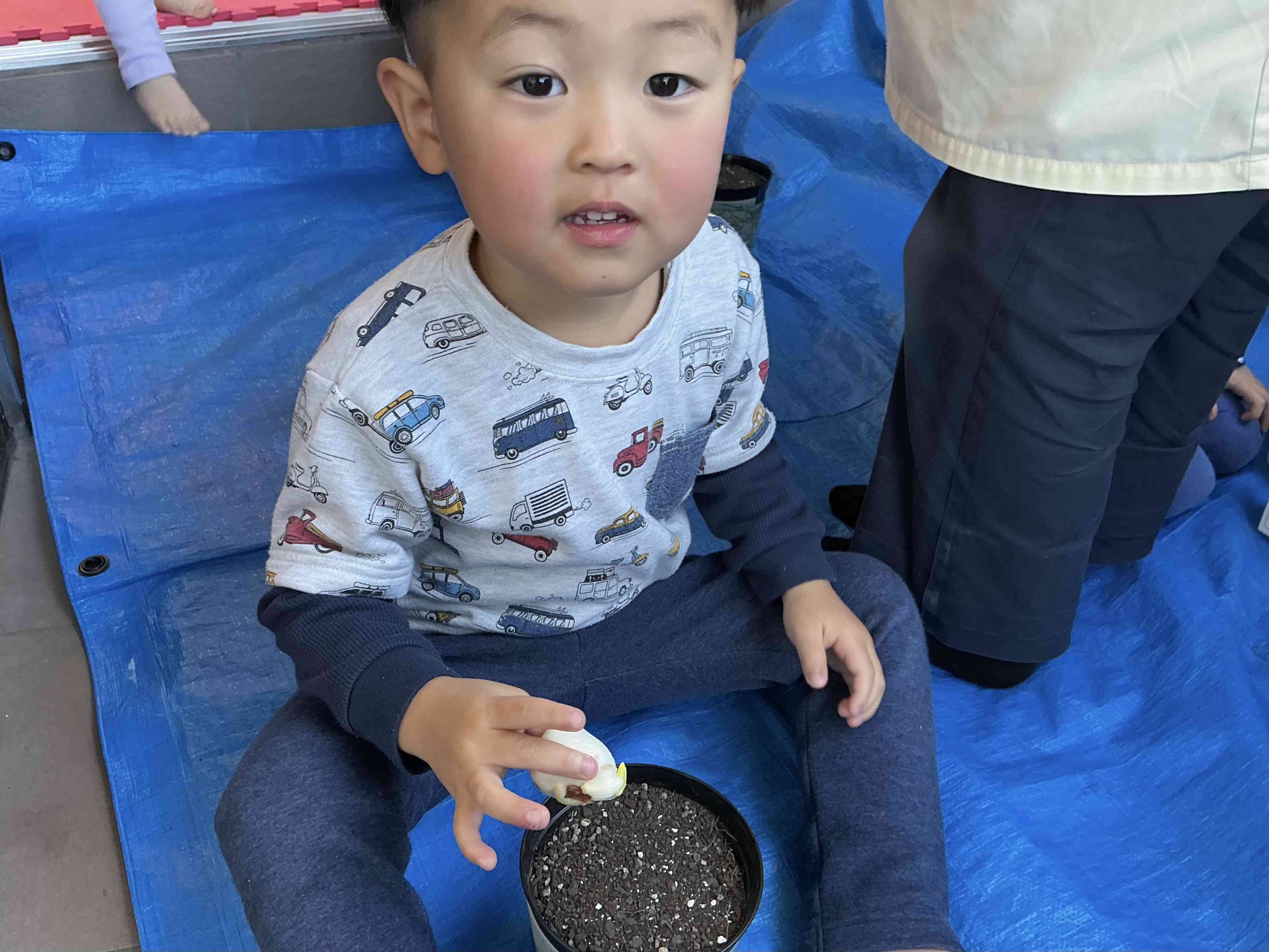 チューリップを植えたよ(うさぎ組)