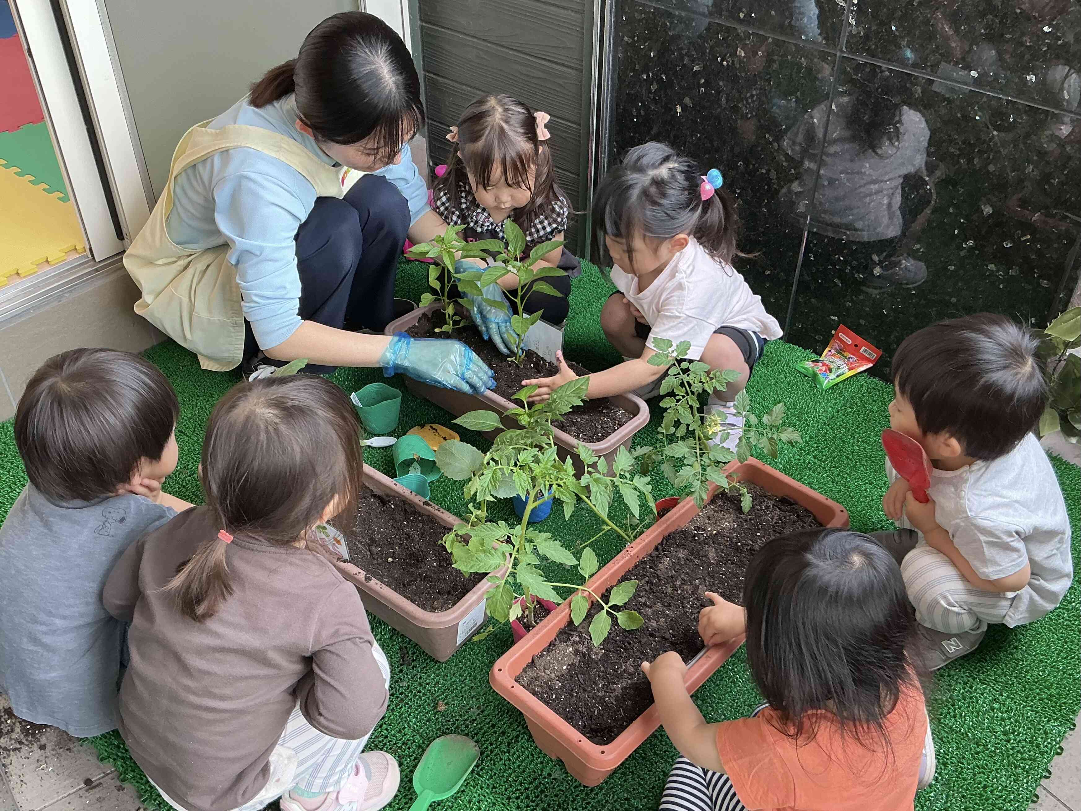 夏野菜を植えました！｜ニチイキッズおおくぼきたⅡ保育園｜ニチイキッズ